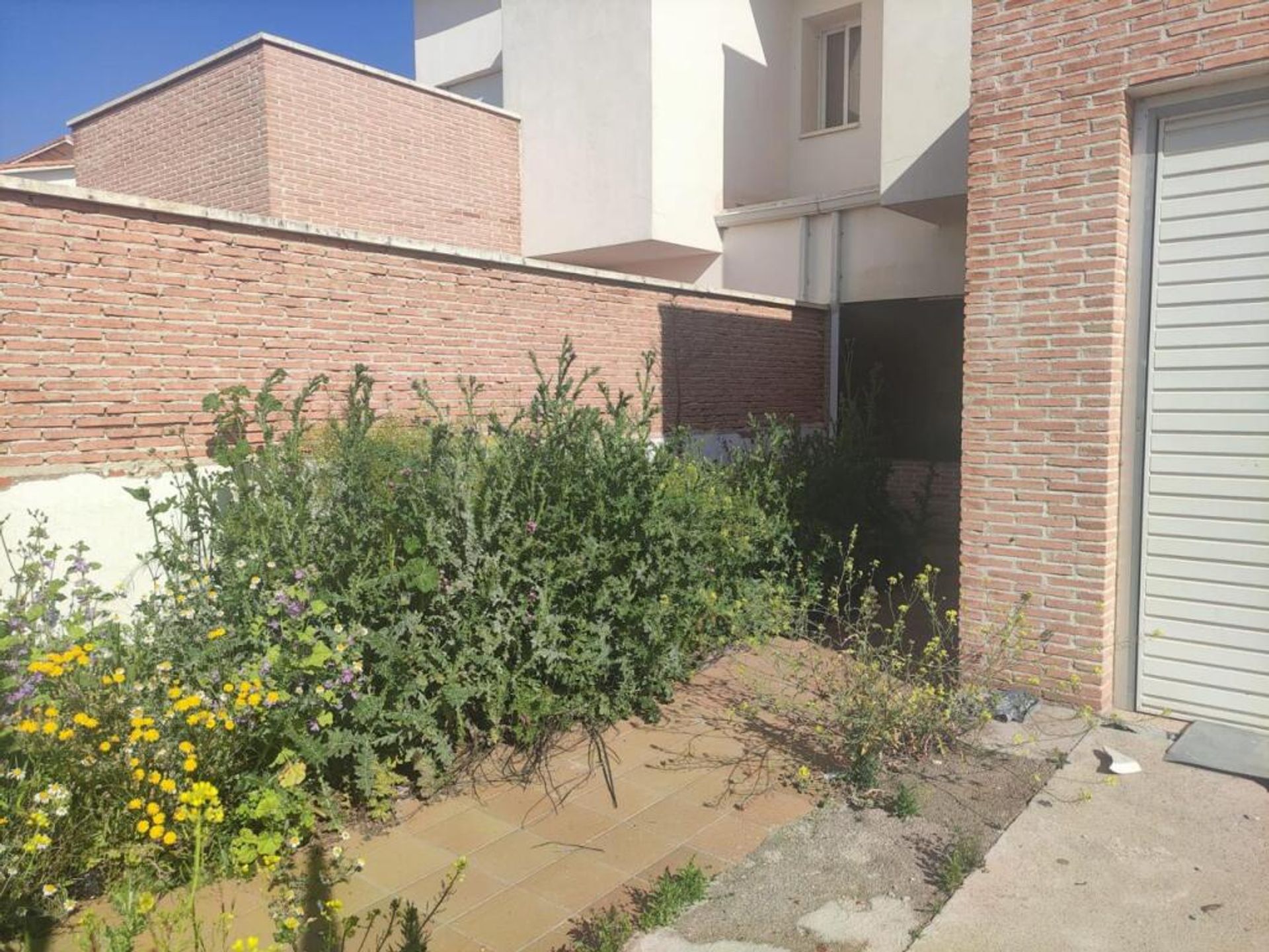 House in Nambroca, Castilla-La Mancha 11519048