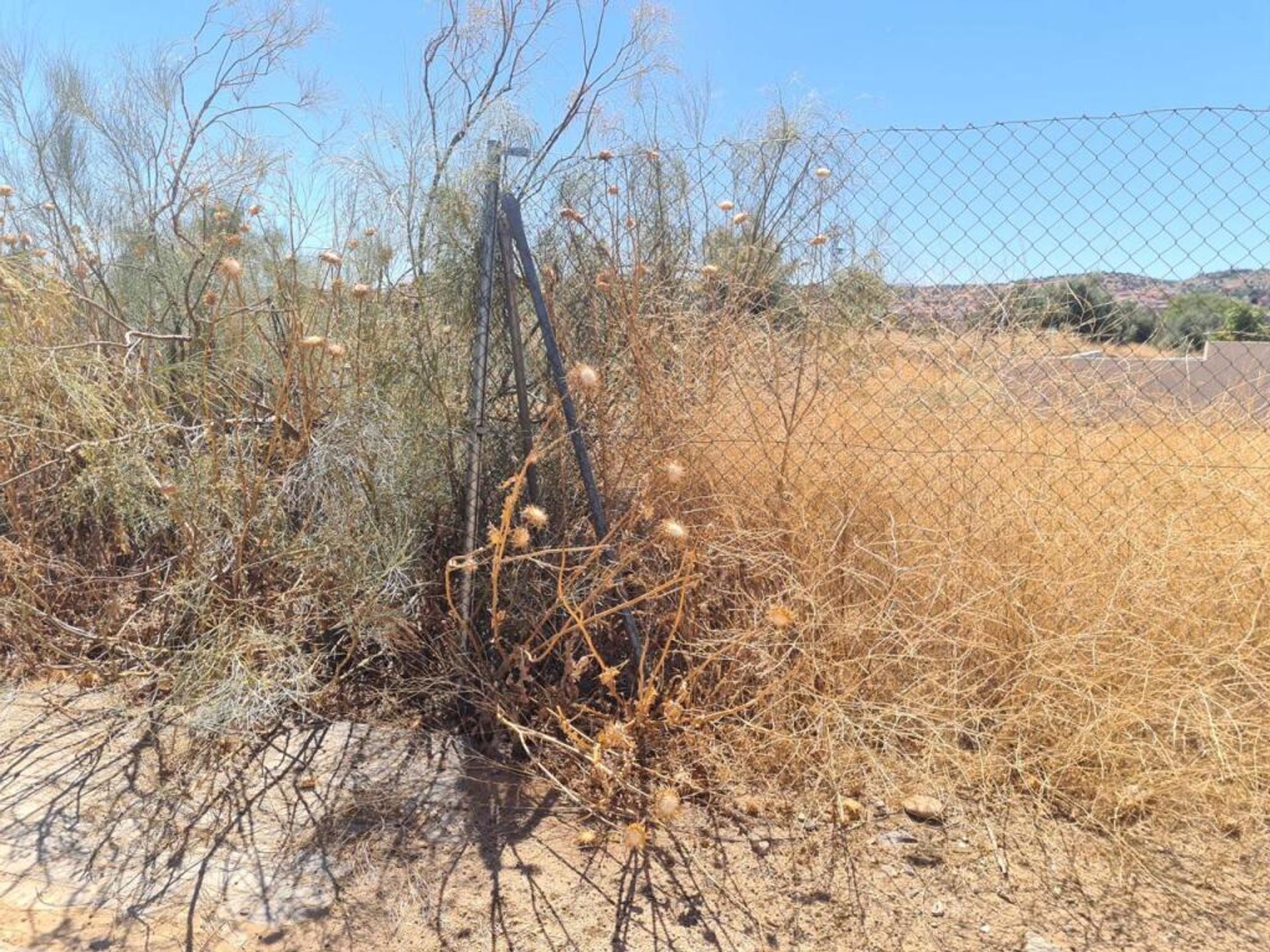 Tierra en Toledo, Castilla-La Mancha 11519135