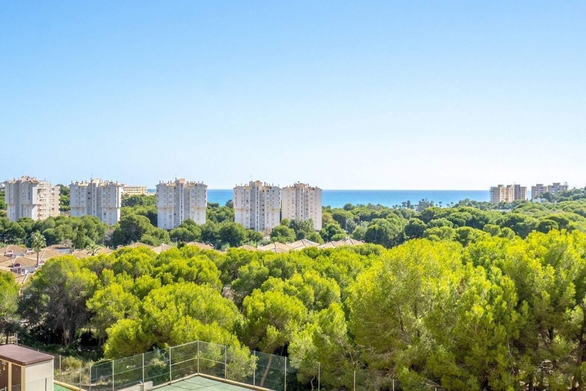 Condominium dans Orihuela, Comunidad Valenciana 11519896