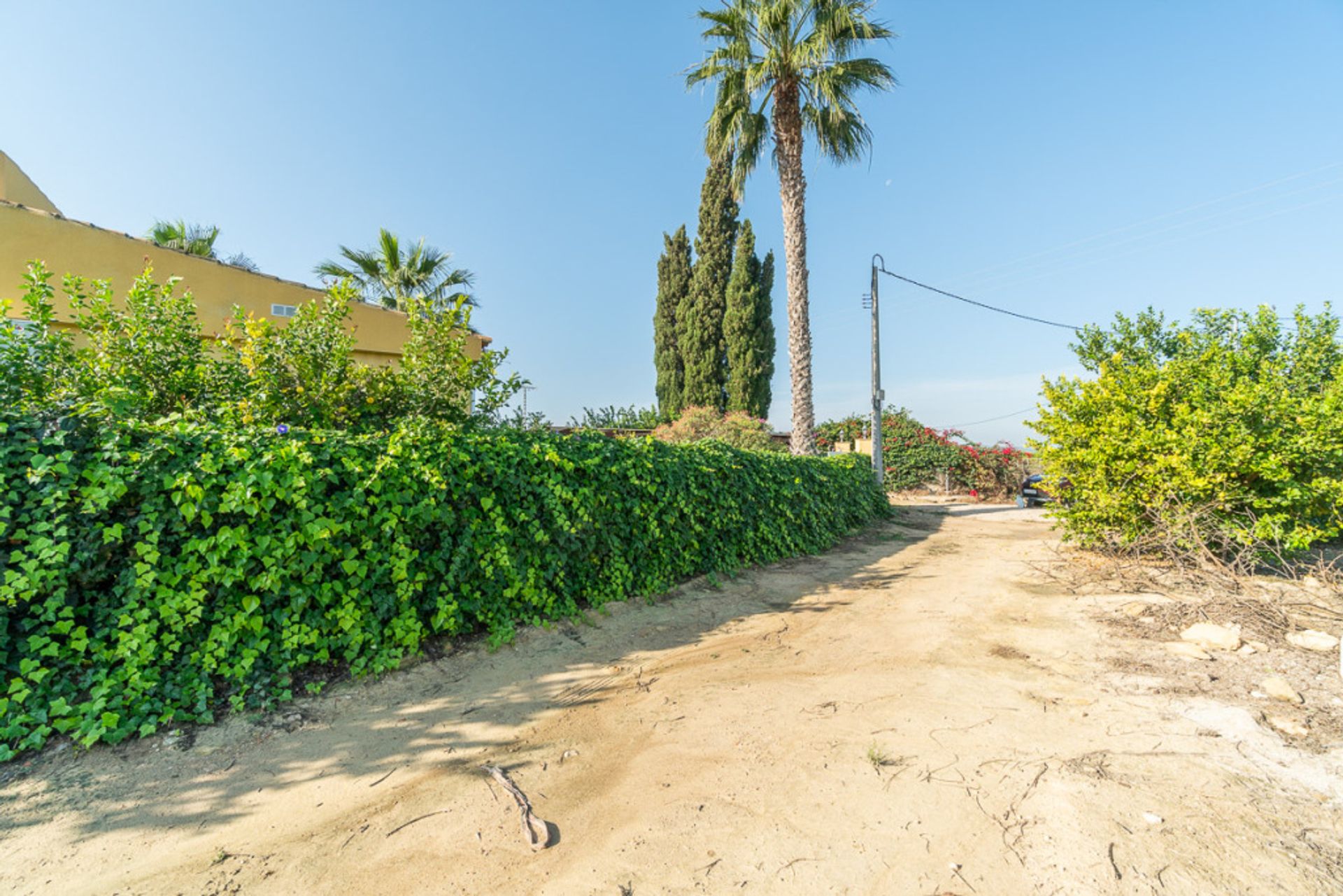 Haus im San Miguel de Salinas, Comunidad Valenciana 11520532