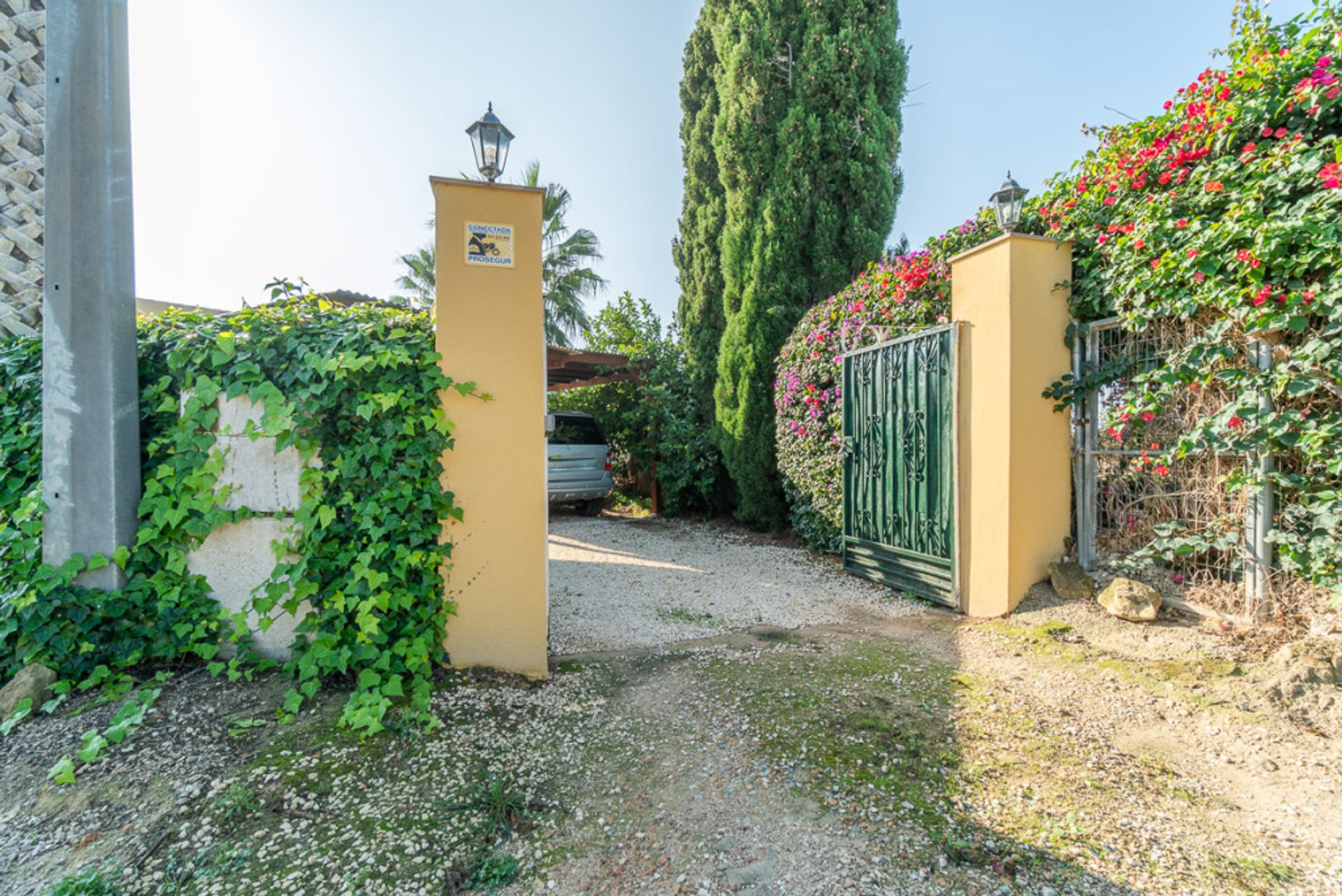 Haus im San Miguel de Salinas, Comunidad Valenciana 11520532