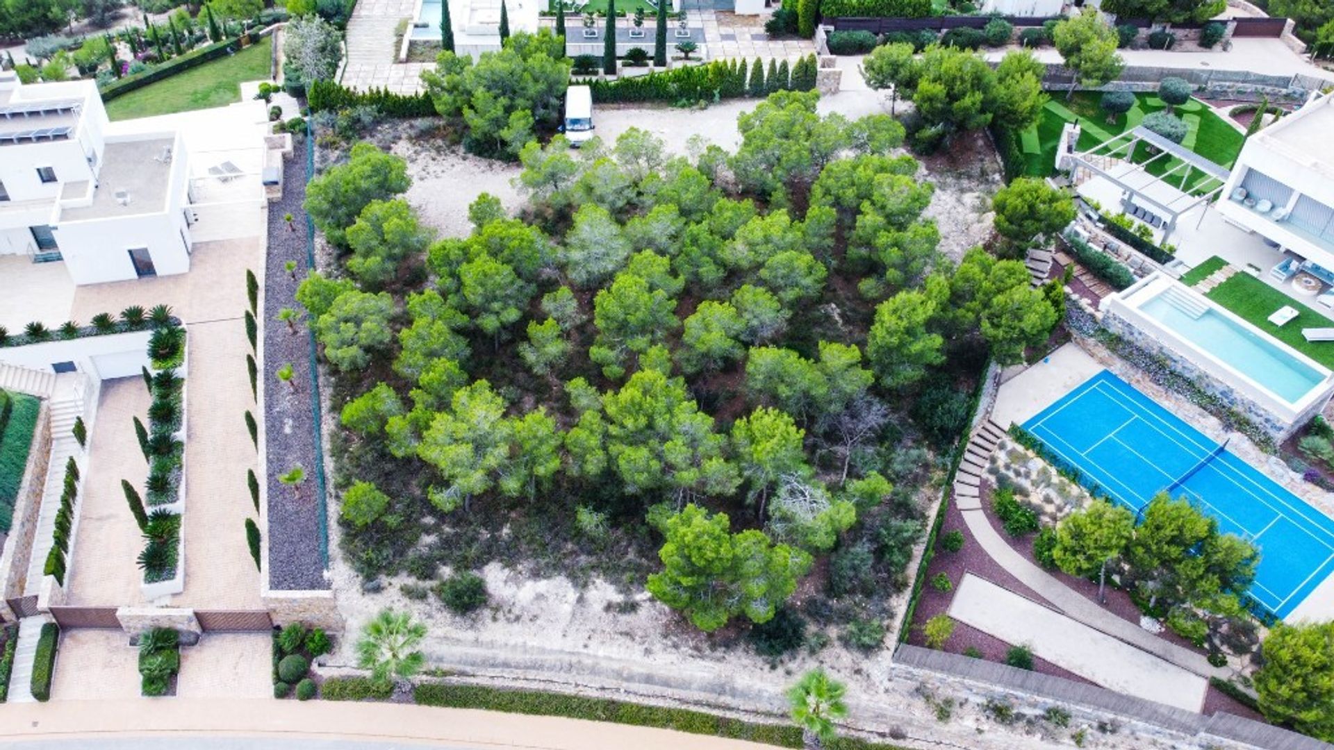 Terre dans Guardamar del Segura, Comunidad Valenciana 11520663