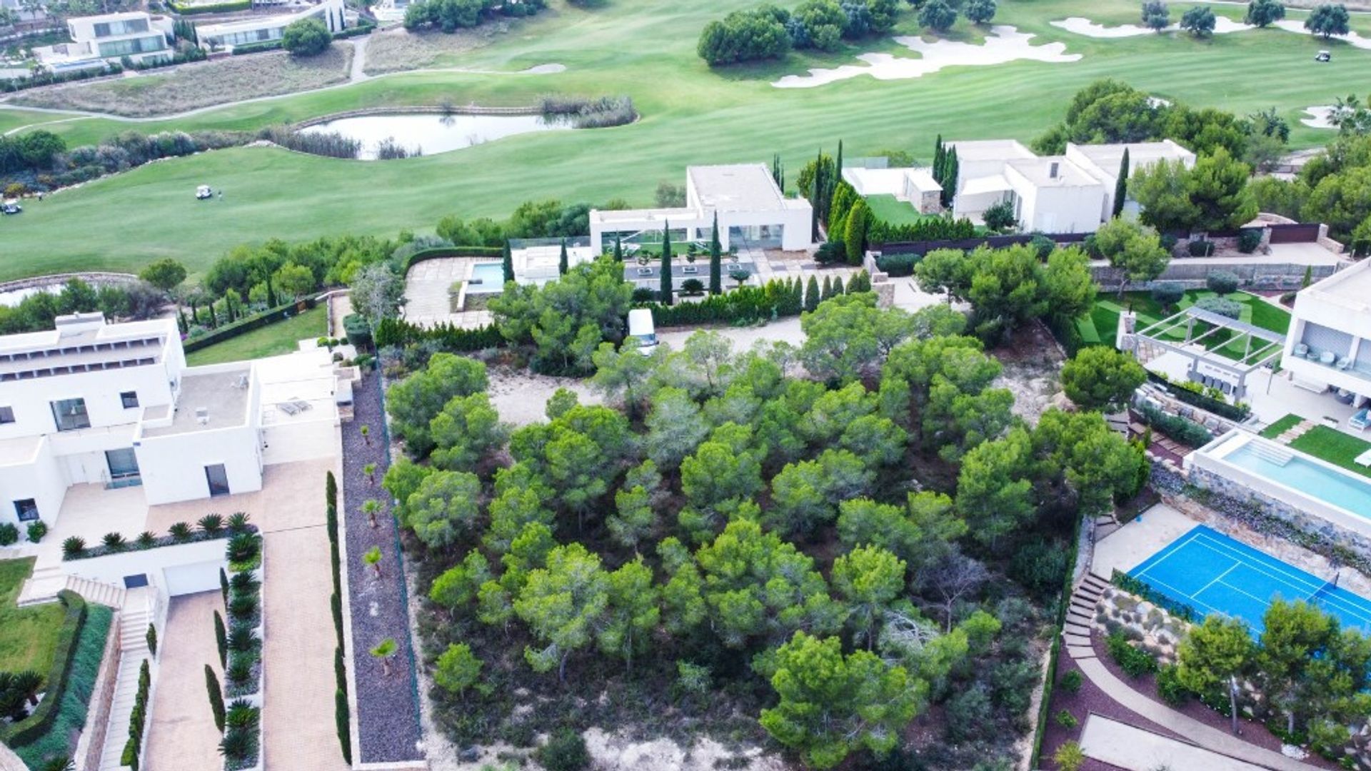 Land im Guardamar del Segura, Valencia 11520663