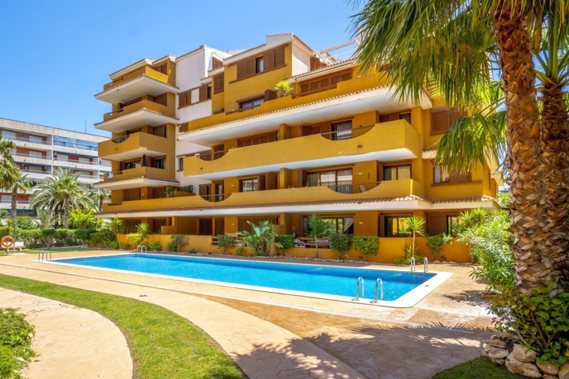 Condominium dans Torrevieja, Comunidad Valenciana 11520742