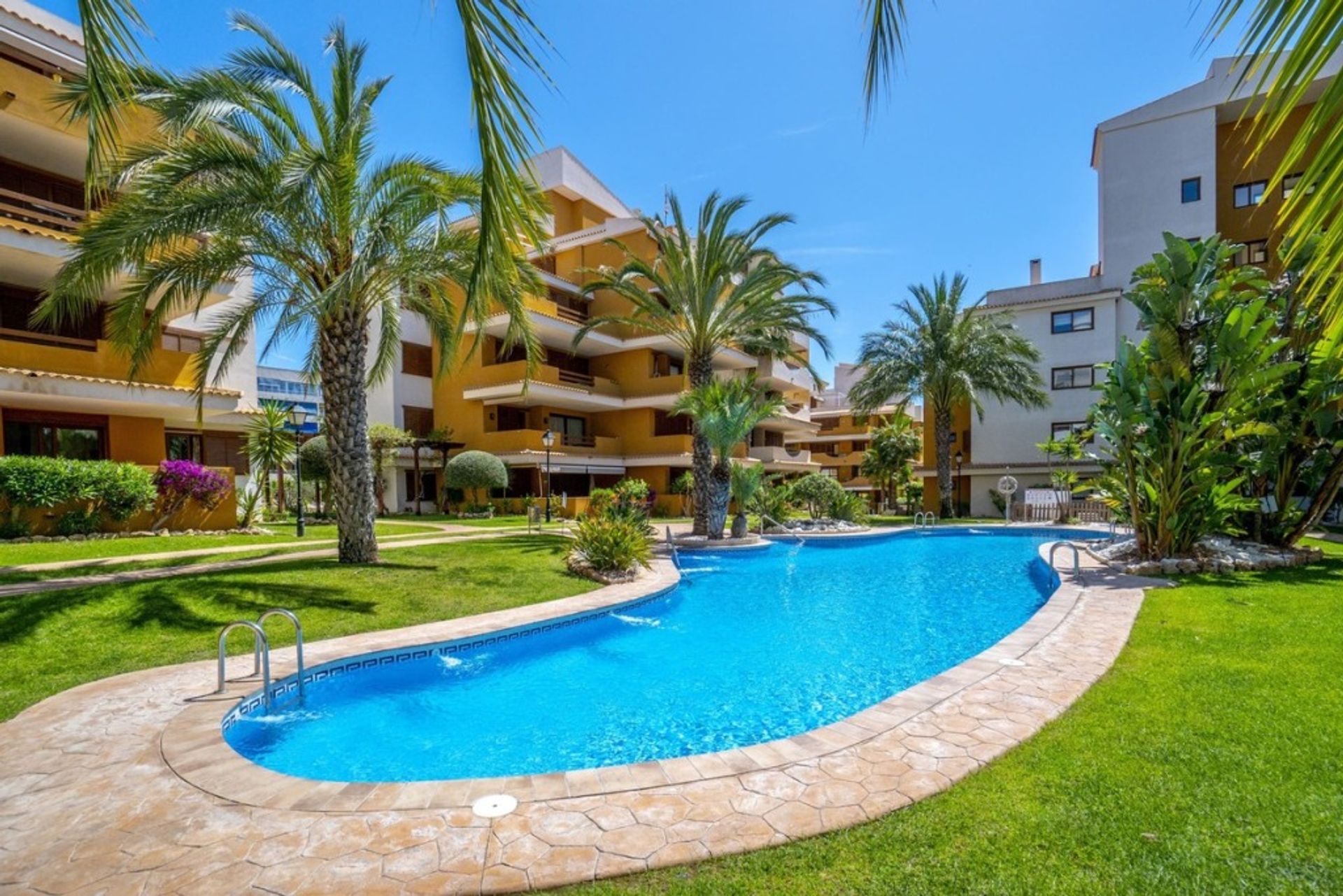 Condominium dans Torrevieja, Comunidad Valenciana 11520742