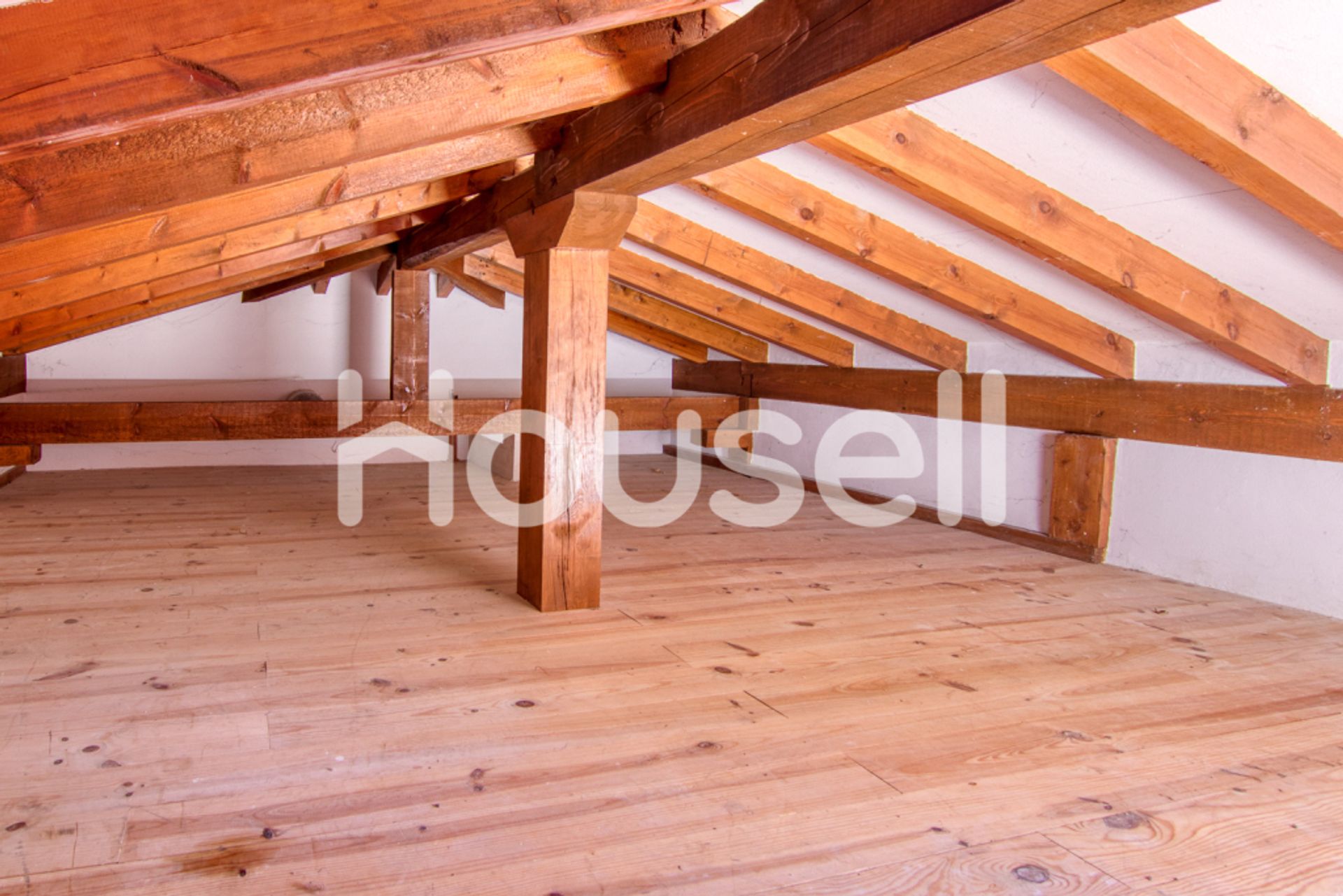 Hus i Frama, Cantabria 11521049