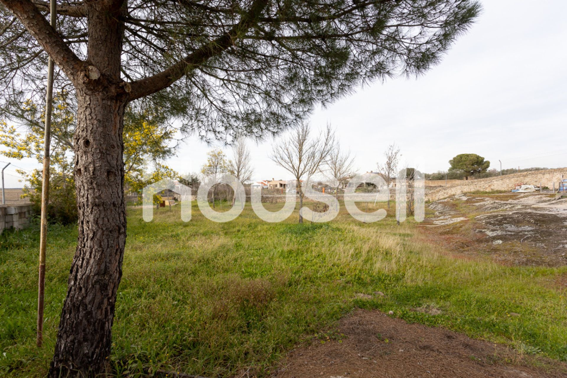 Будинок в Malpartida de Cáceres, Extremadura 11521212