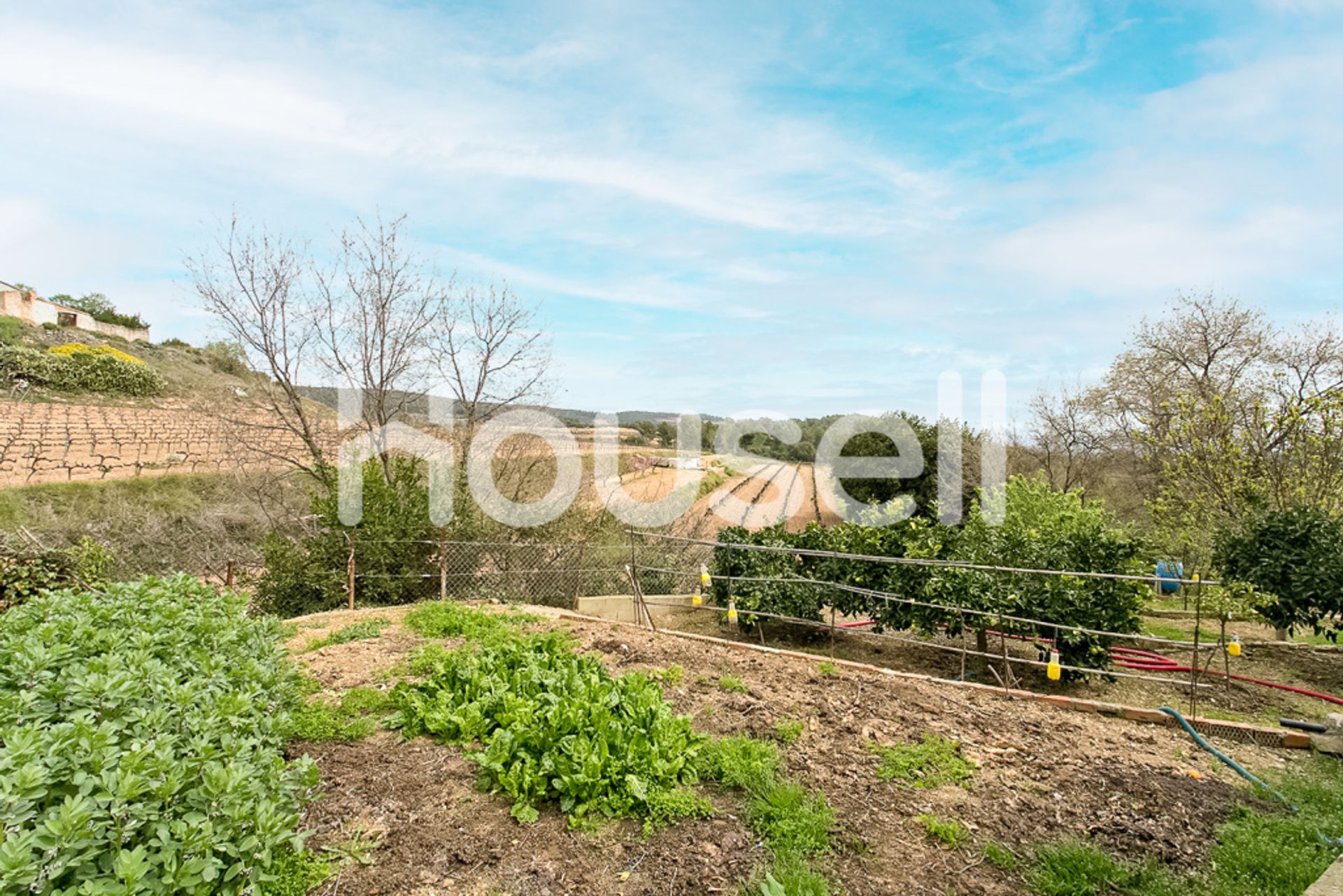 casa en Torrelles de Foix, Catalunya 11521353