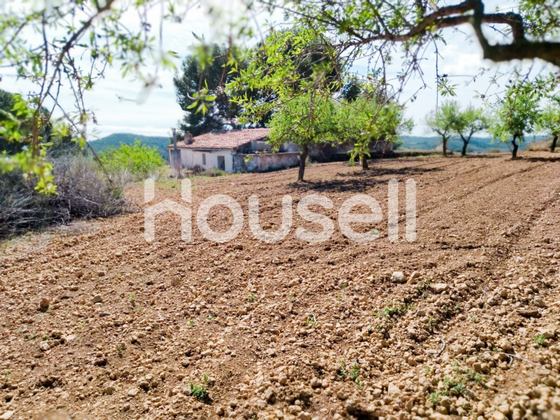 House in Cuevas de Vinromá, Comunidad Valenciana 11521697