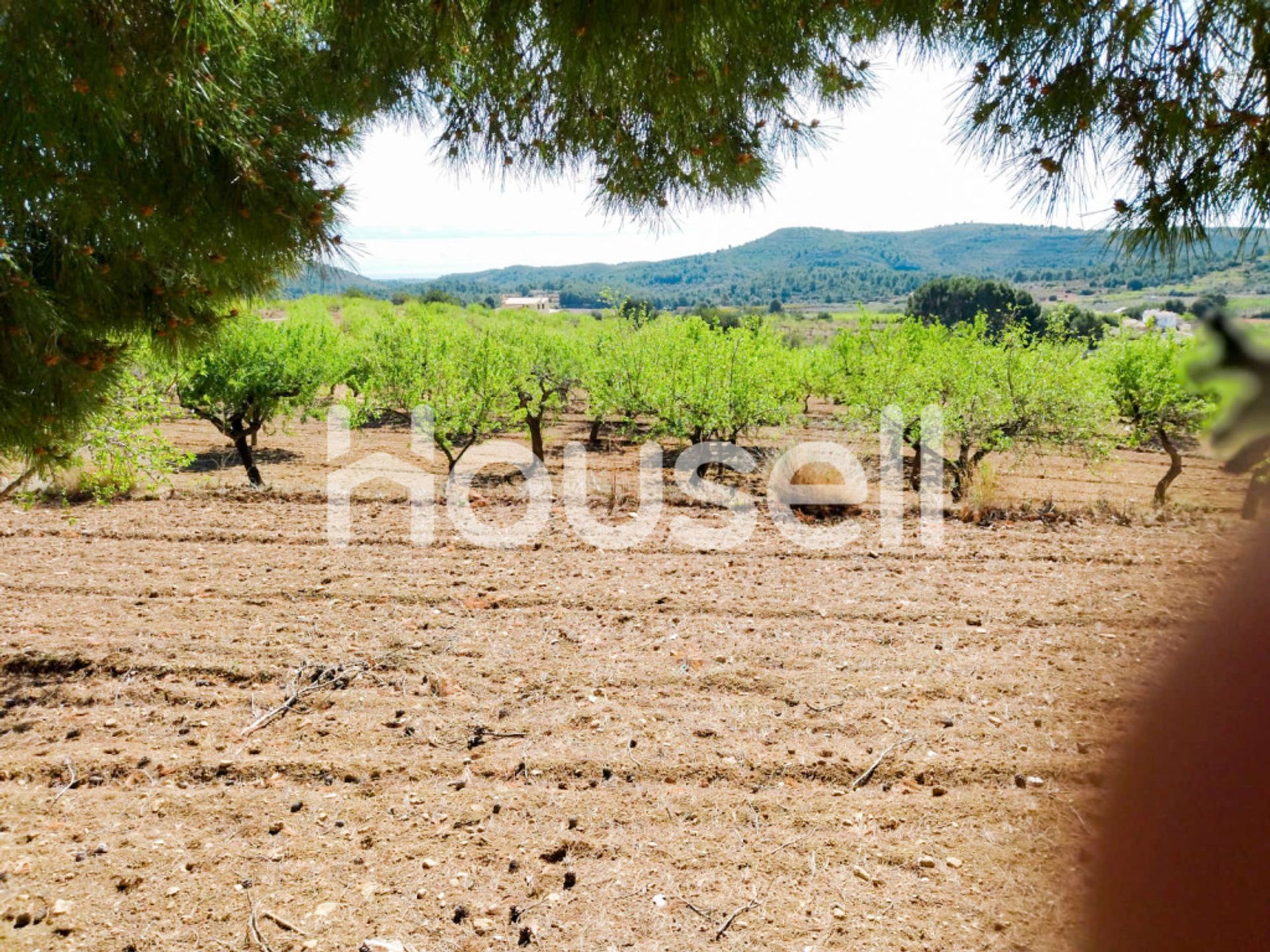 House in Cuevas de Vinromá, Comunidad Valenciana 11521697