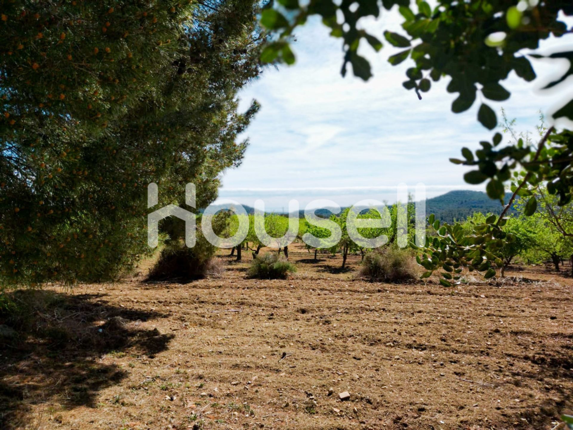 Rumah di Cuevas de Vinromá, Comunidad Valenciana 11521697