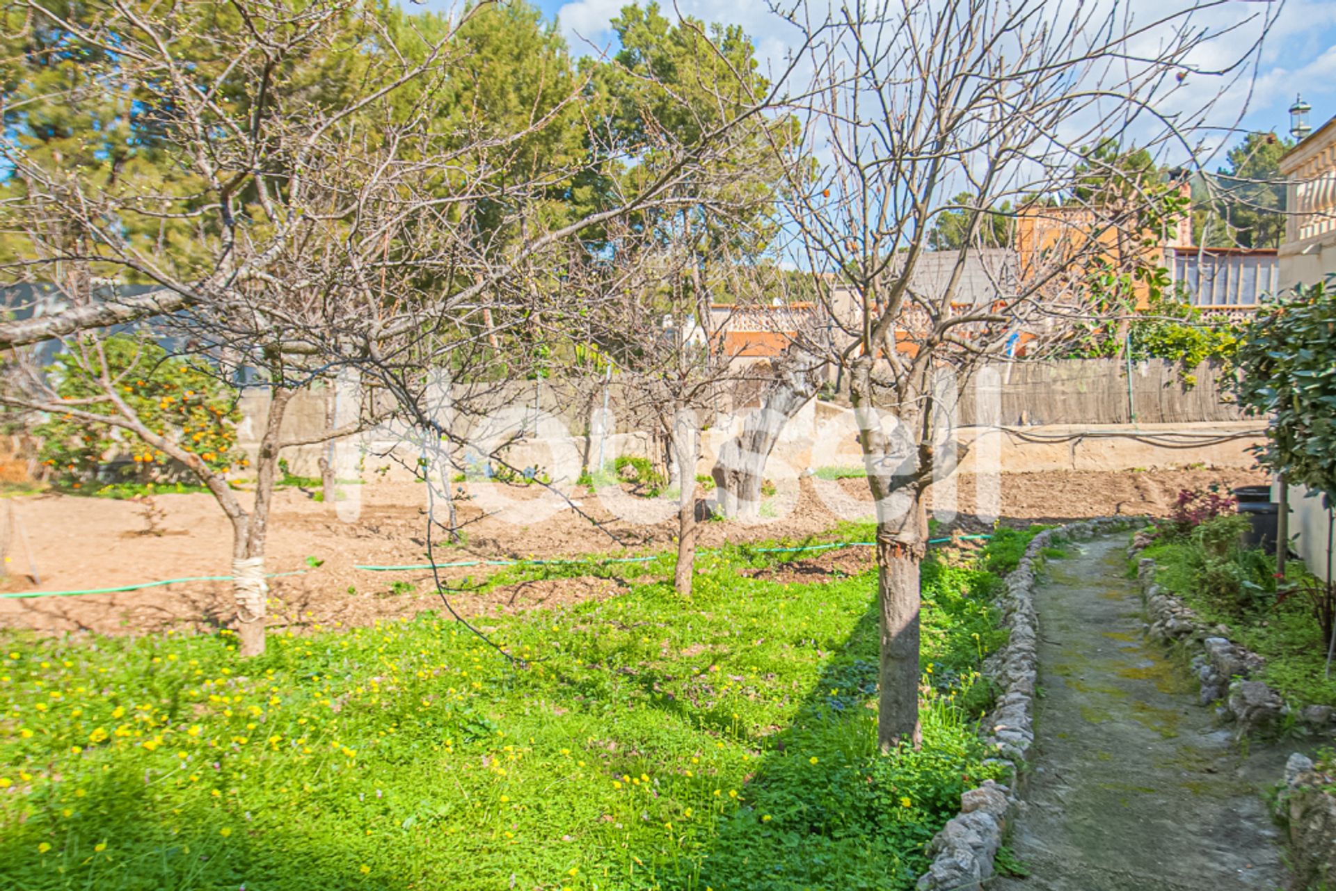 Haus im Santa Ponça, Illes Balears 11521775