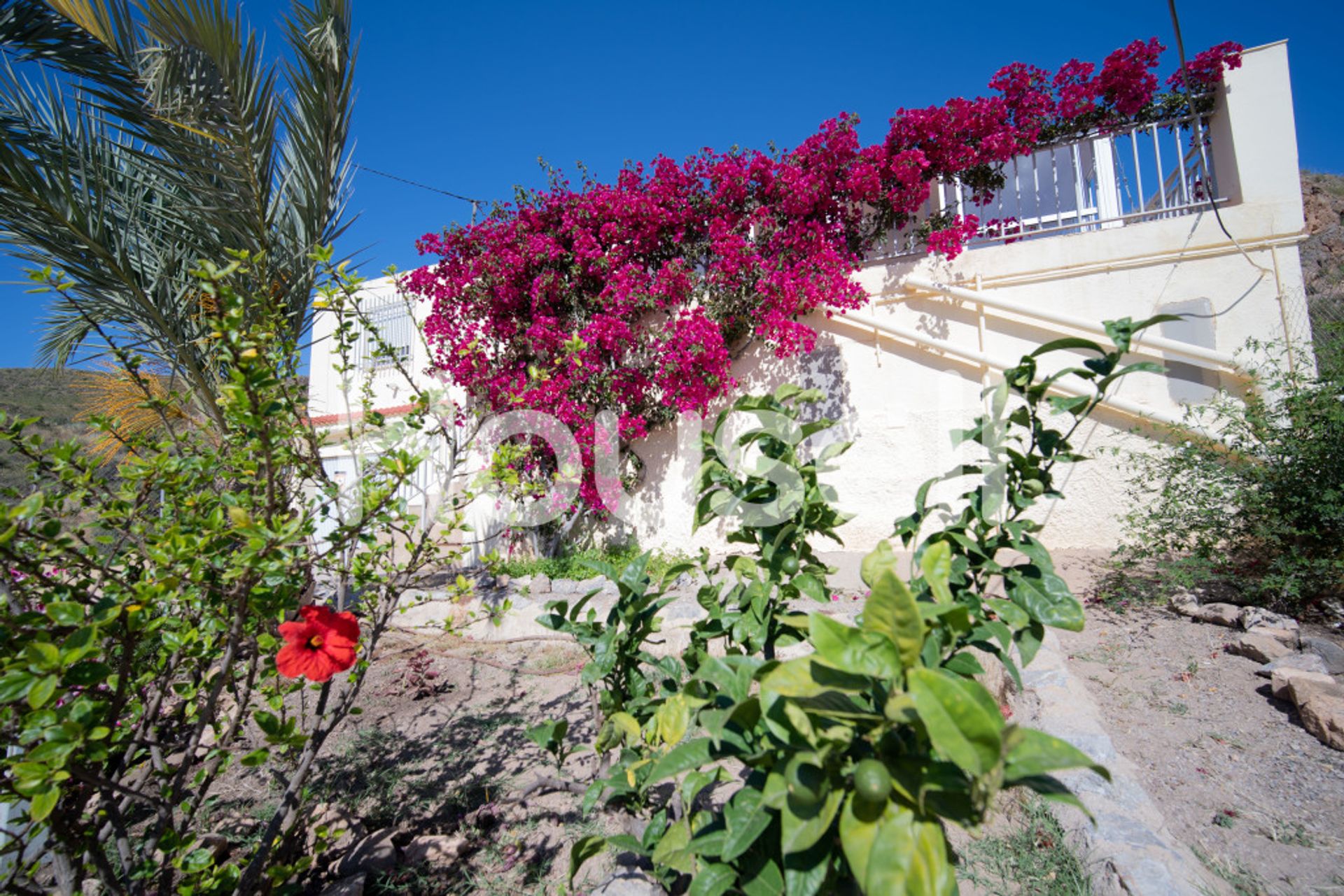 Rumah di Pilar de Jaravia, Andalucía 11522231