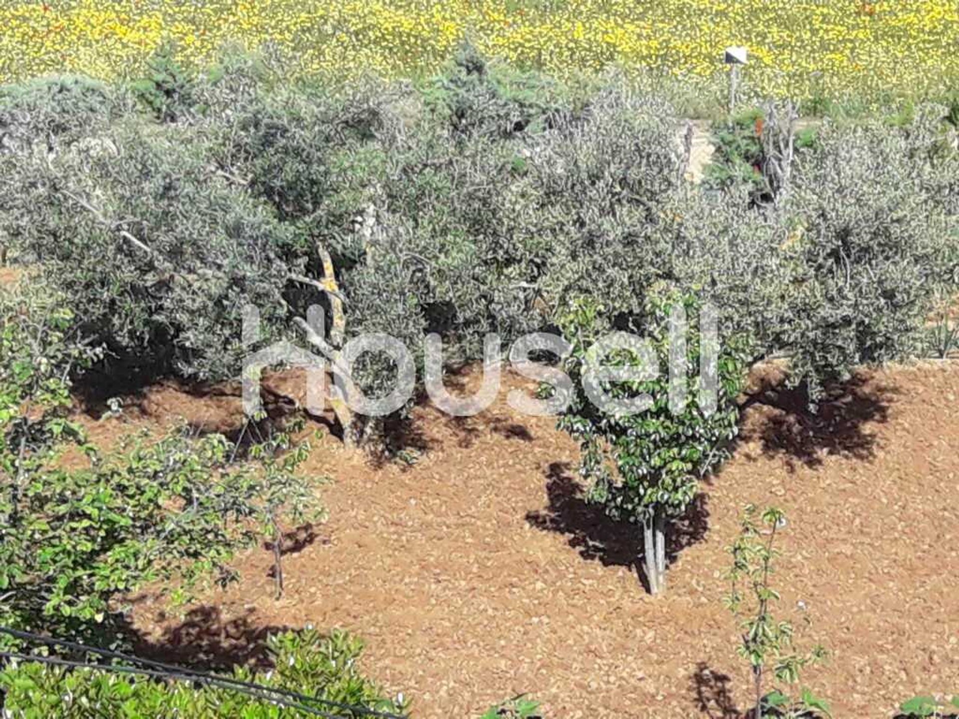 loger dans Dehesilla de Calamón, Extremadura 11522302