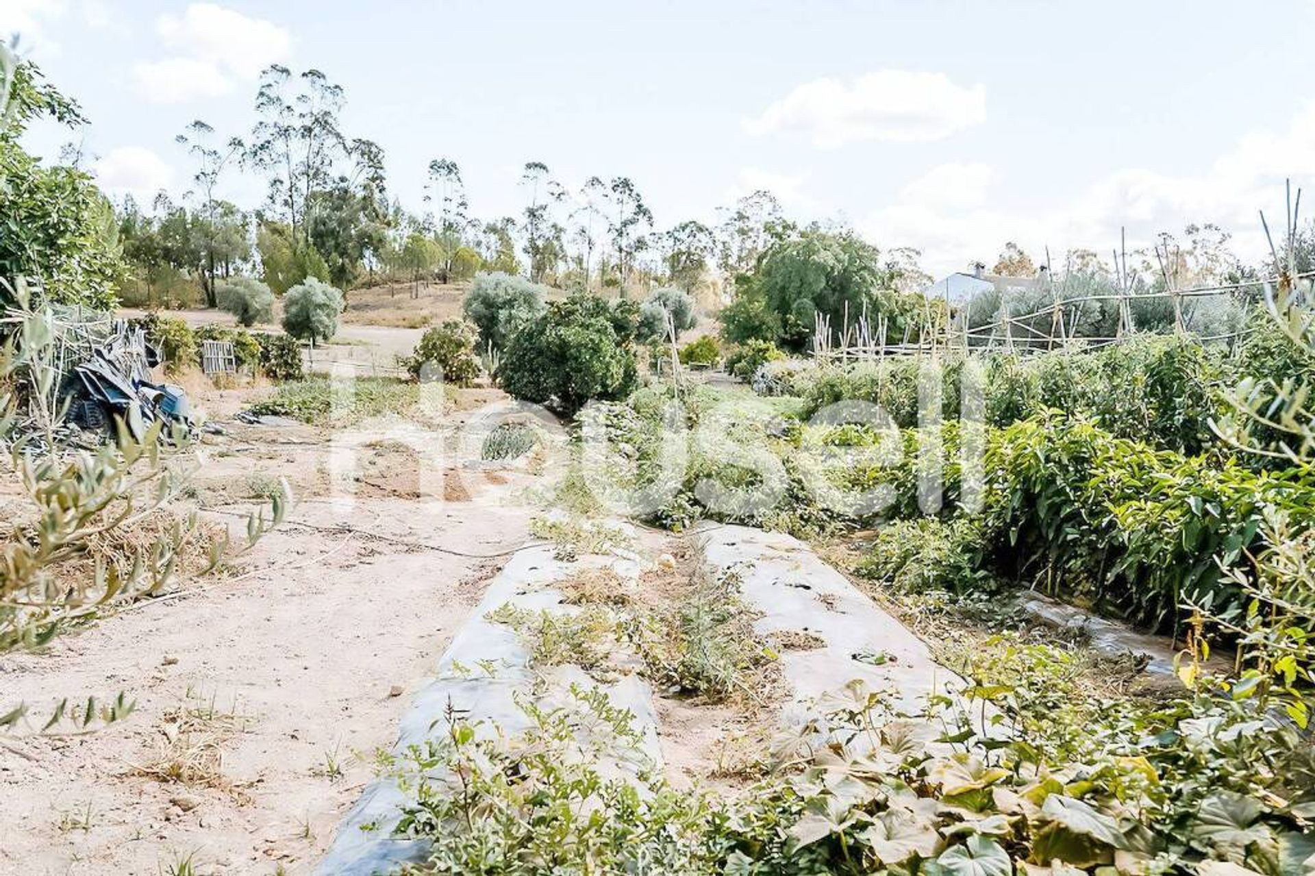 Rumah di Valverde del Camino, Andalucía 11522457