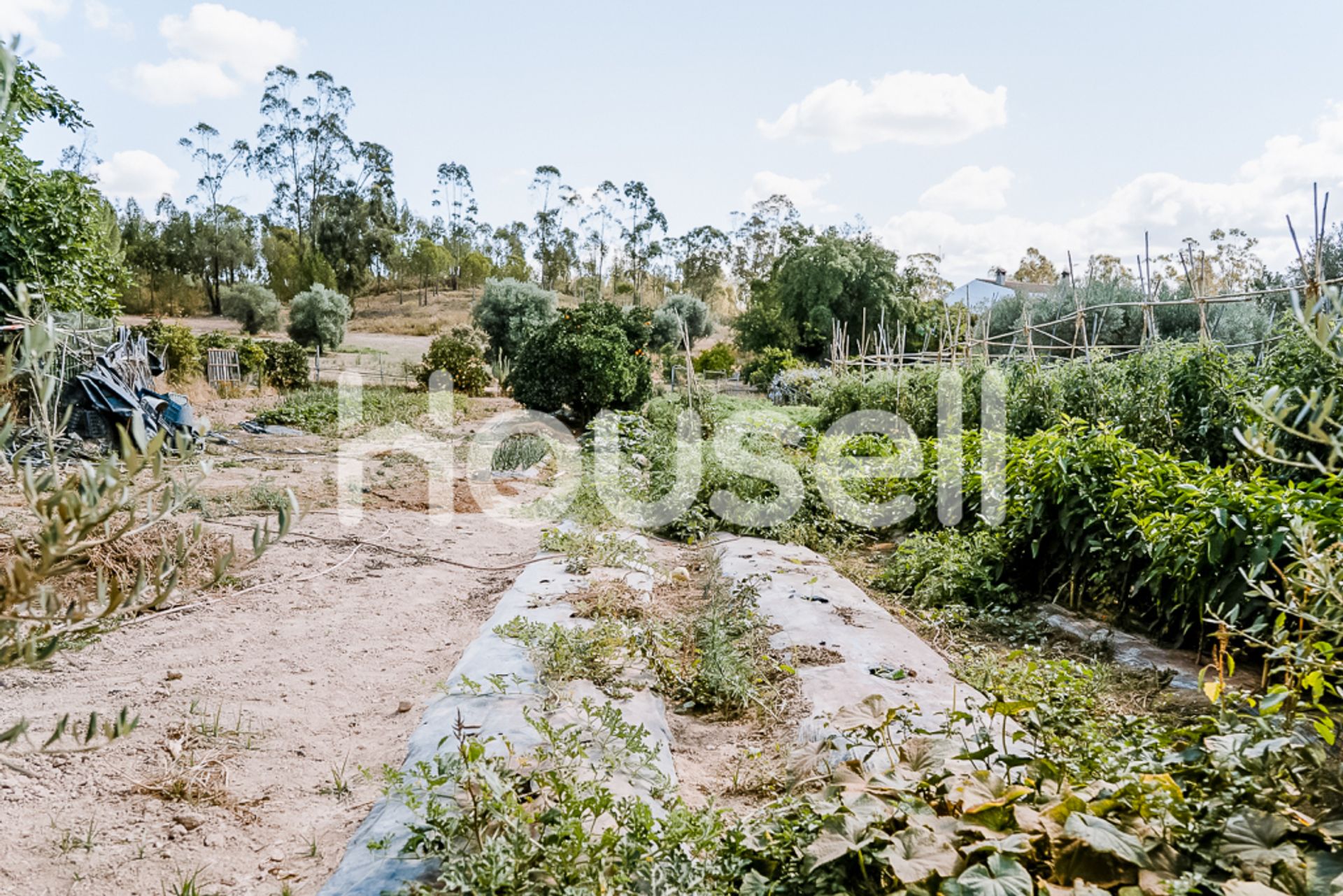 Haus im Valverde del Camino, Andalucía 11522457