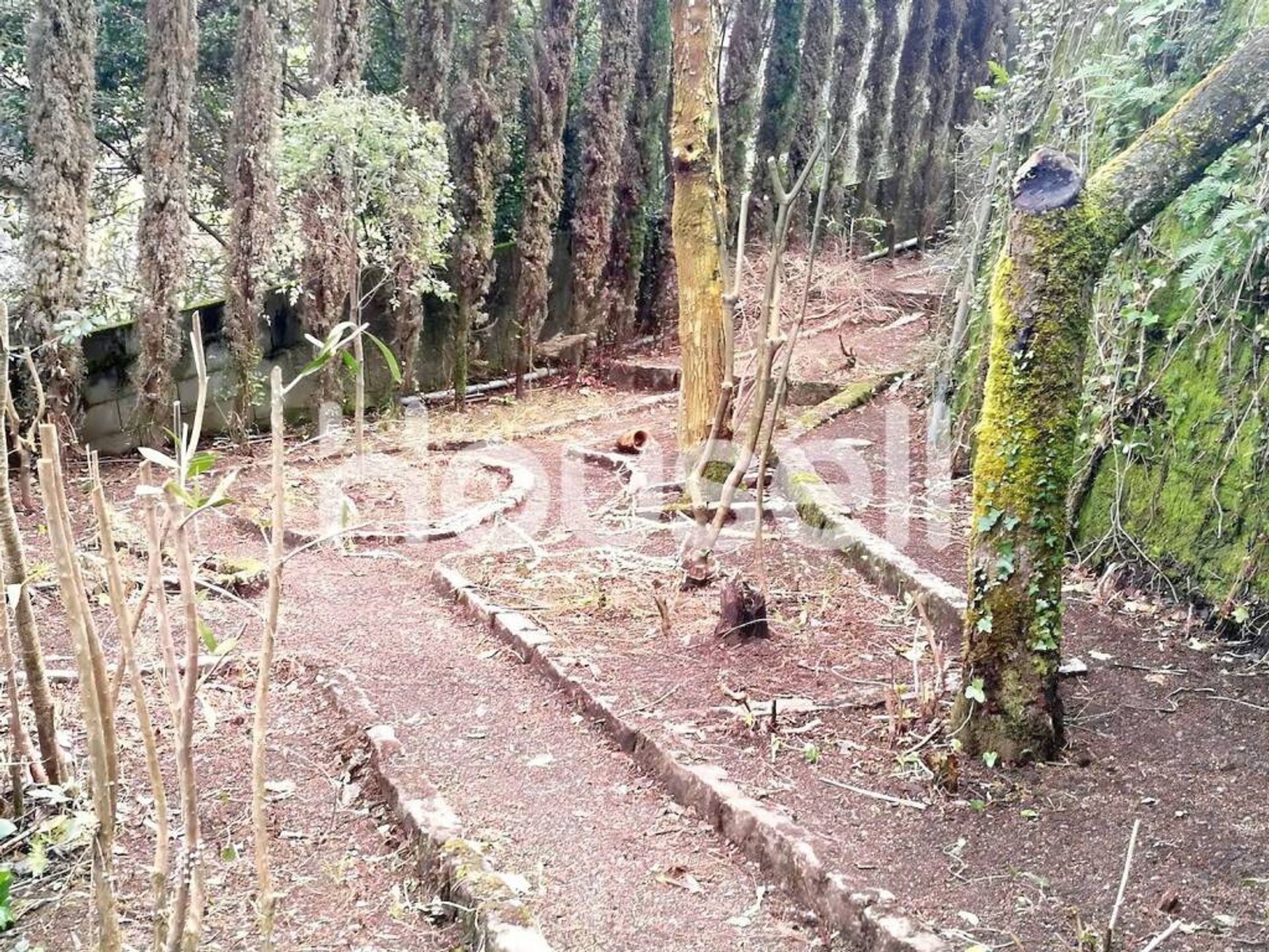 Casa nel Fuentecarmoa, Galizia 11523053