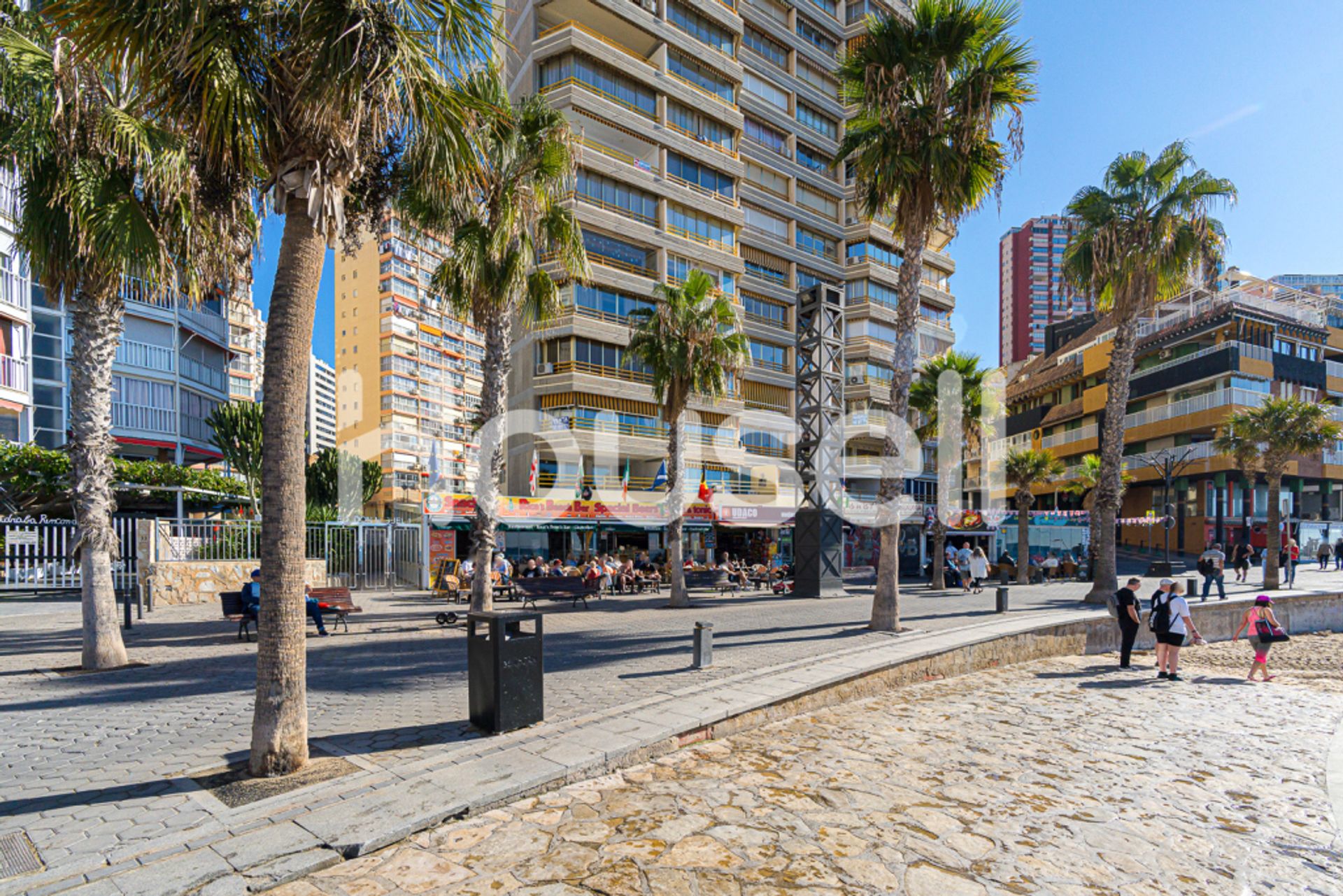 קוֹנדוֹמִינִיוֹן ב Benidorm, Comunidad Valenciana 11523086