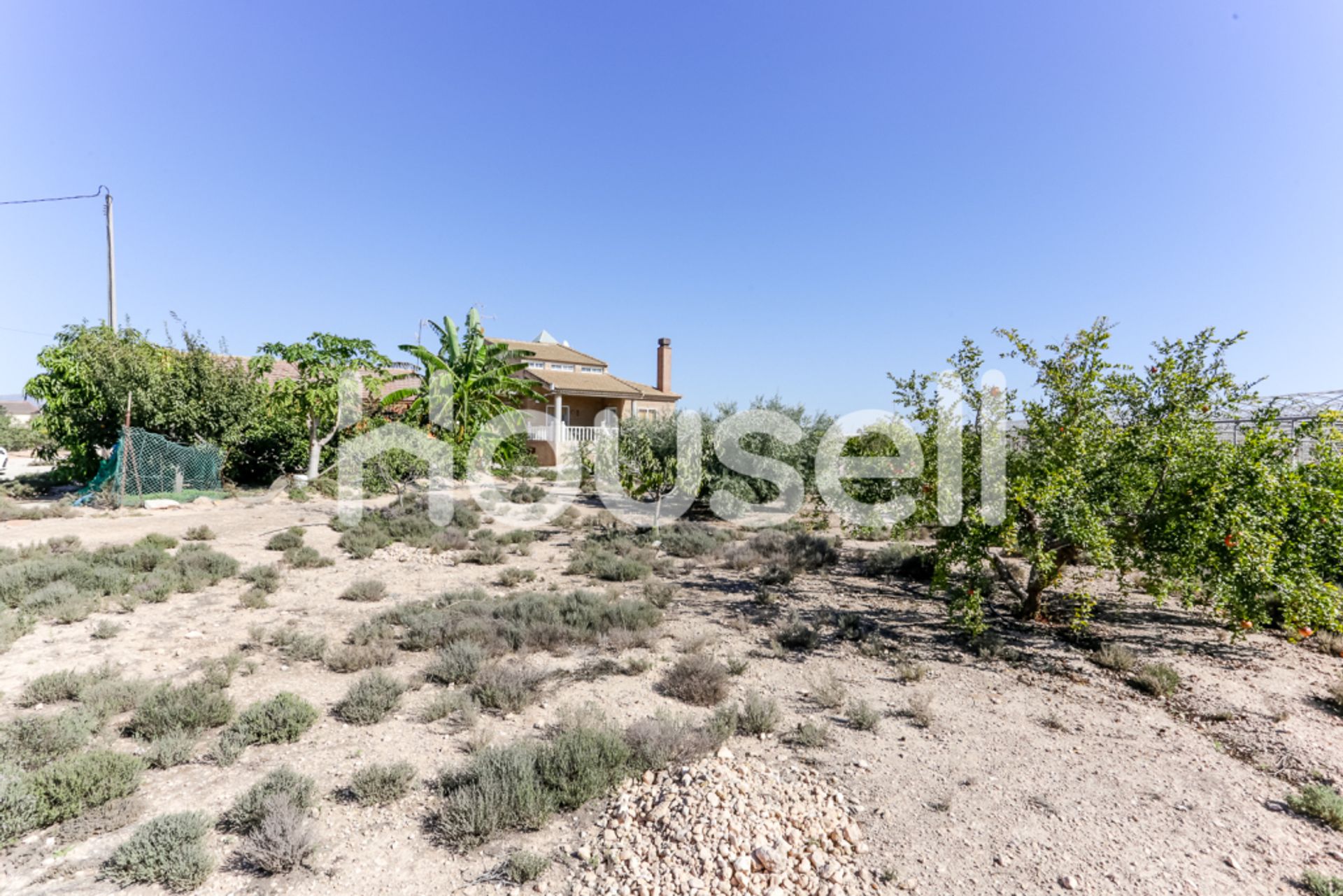 House in Torre-Pacheco, Región de Murcia 11523128