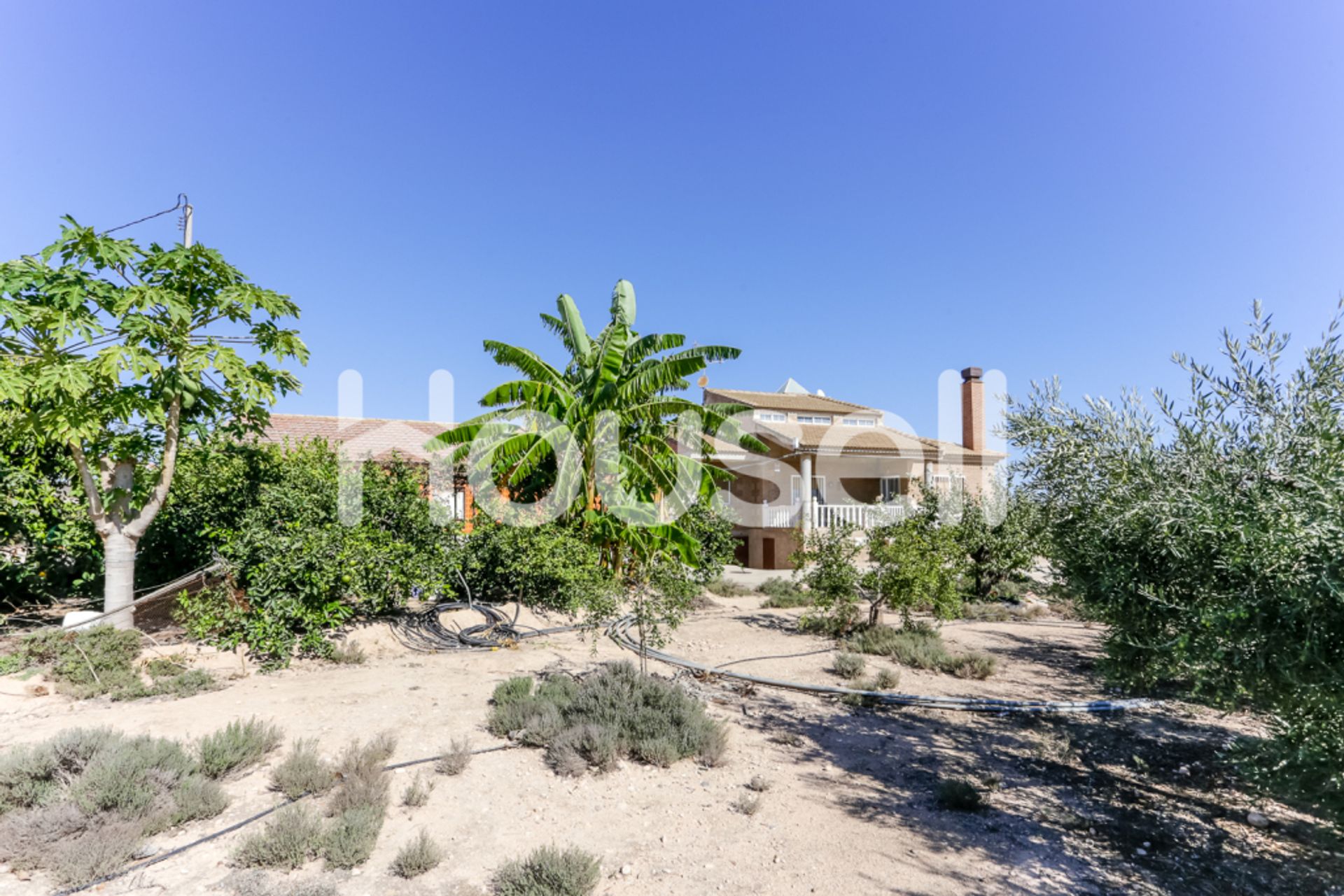 Casa nel Torre-Pacheco, Región de Murcia 11523128