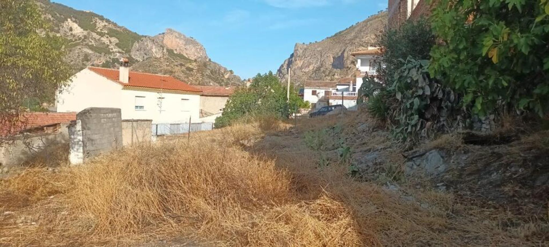 土地 在 Olivares, Andalucía 11523518