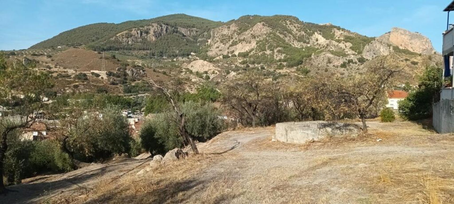 土地 在 Olivares, Andalucía 11523518