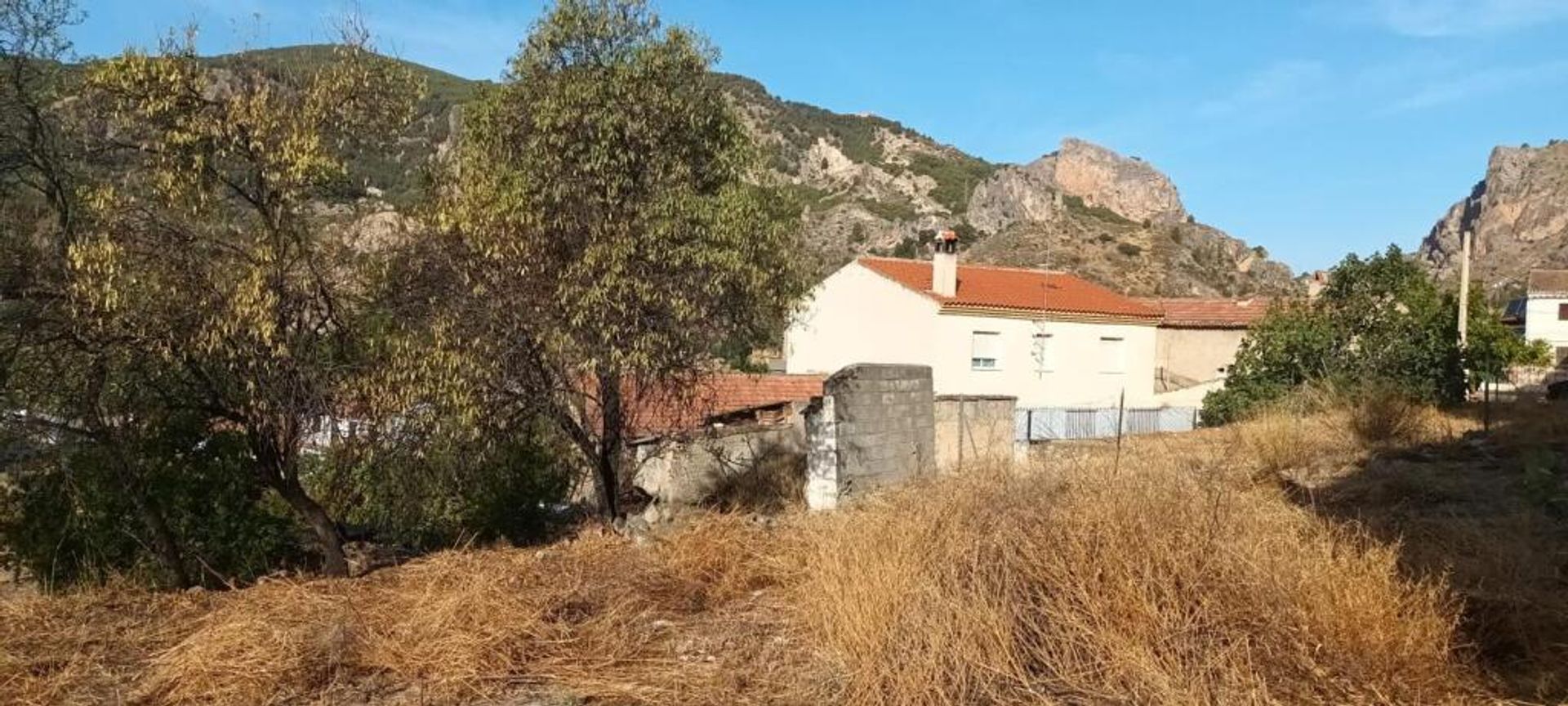 土地 在 Olivares, Andalucía 11523518