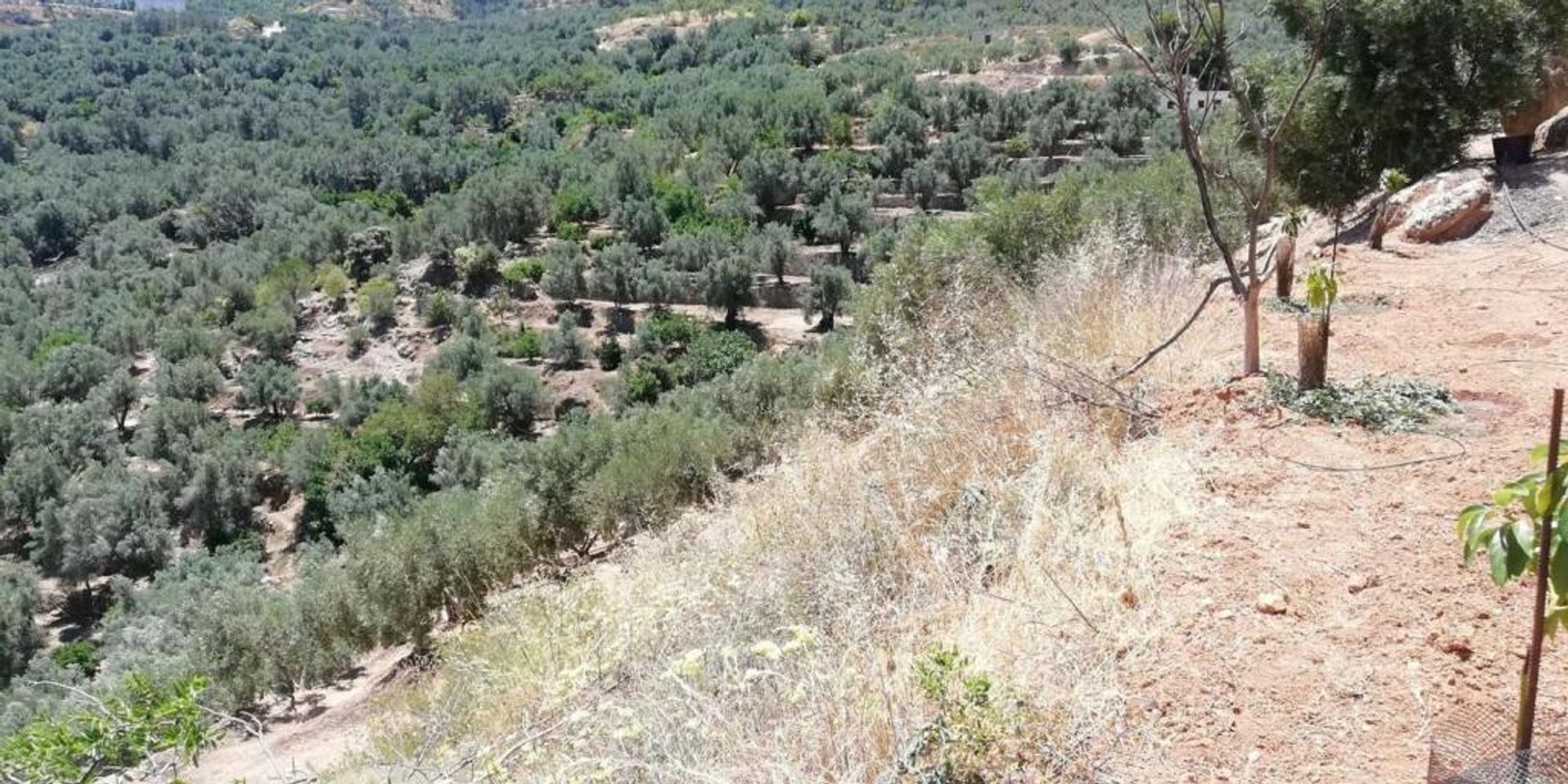 Tanah di Lecrín, Andalucía 11523522