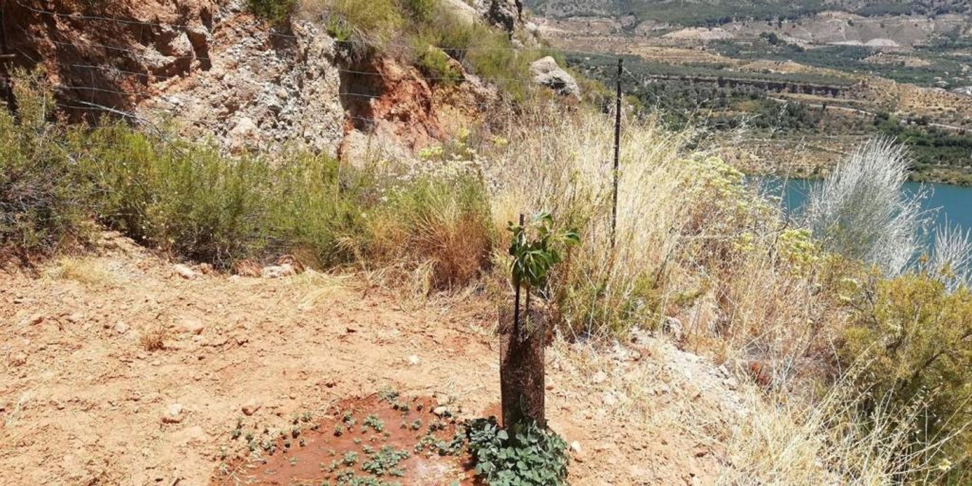 Terra no Lecrín, Andalucía 11523522