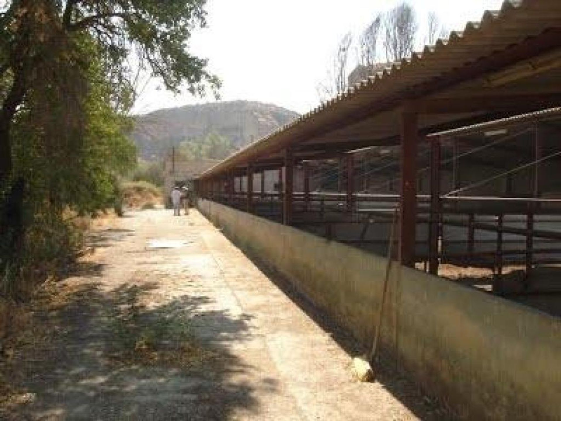 土地 在 Fonelas, Andalucía 11523528