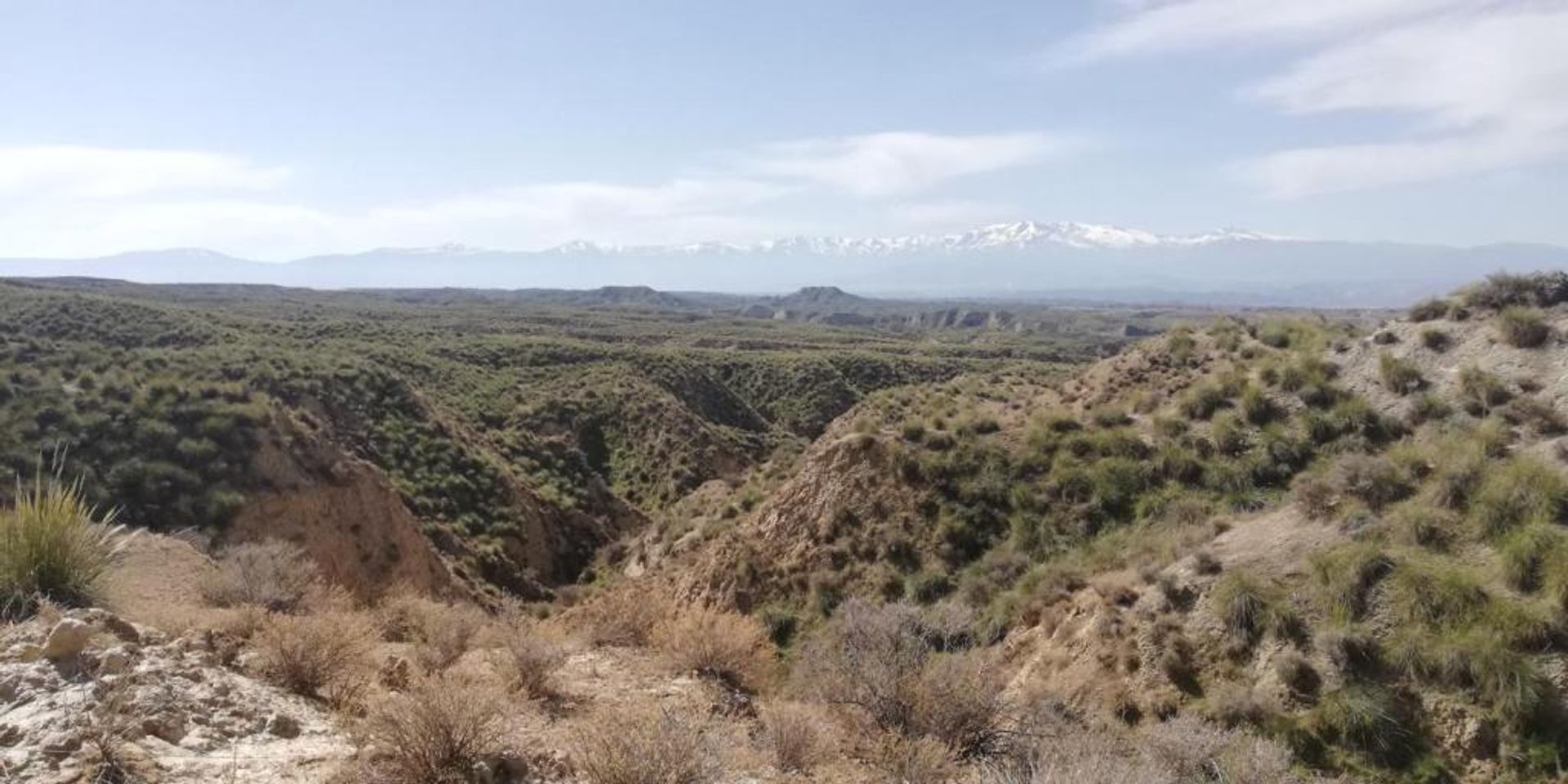 土地 在 Fonelas, Andalucía 11523528