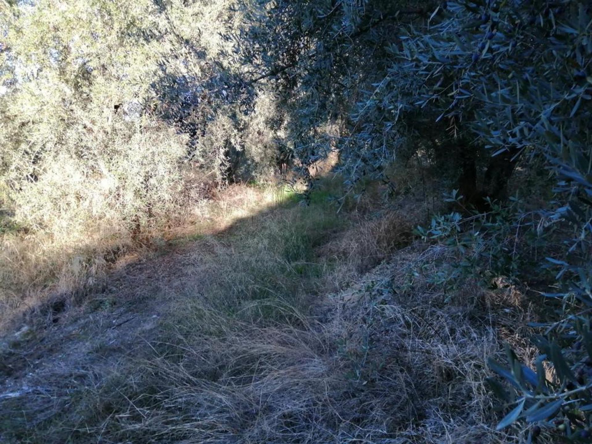 Land in Durcal, Andalusië 11523533