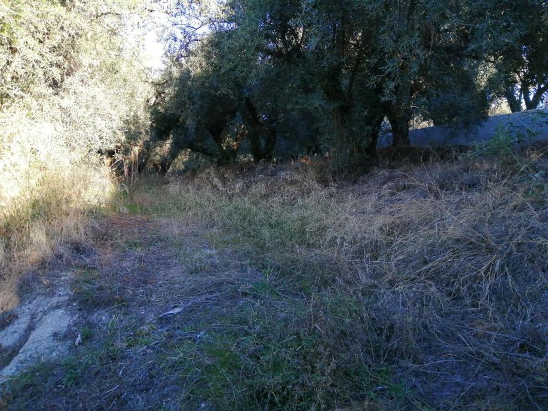 Land in Durcal, Andalusia 11523533