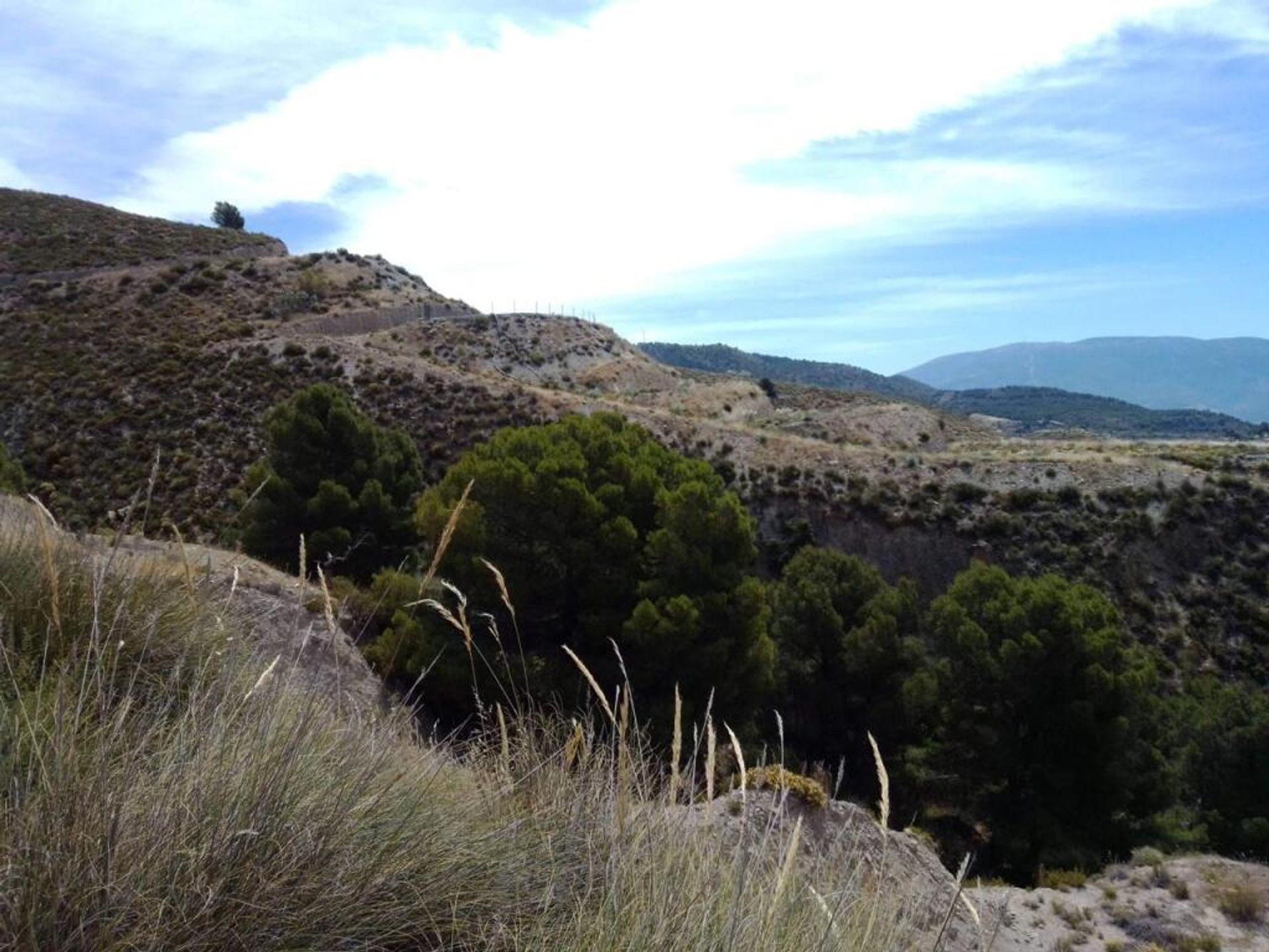 Land in Lecrín, Andalucía 11523544