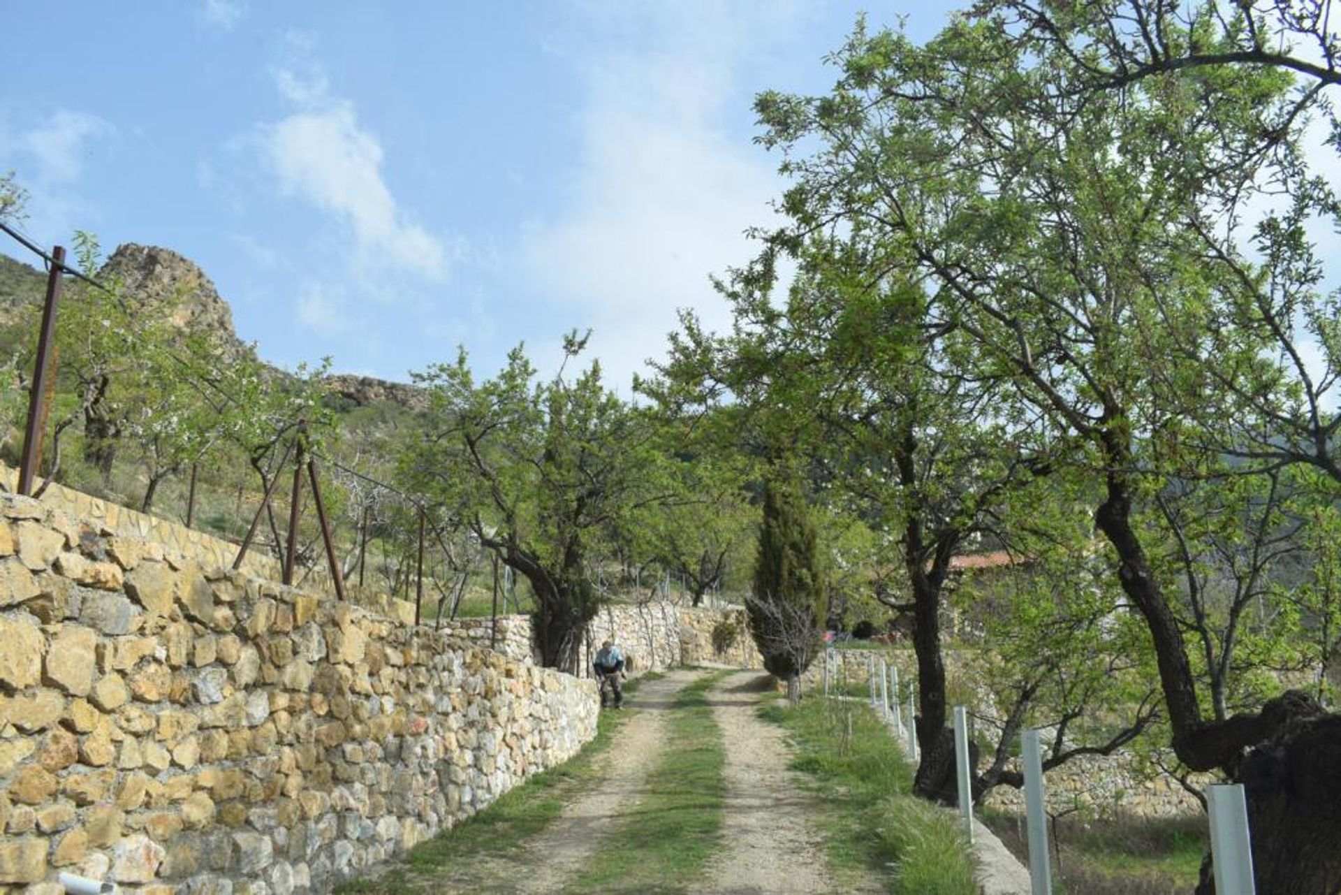 Tanah di Lecrín, Andalucía 11523553