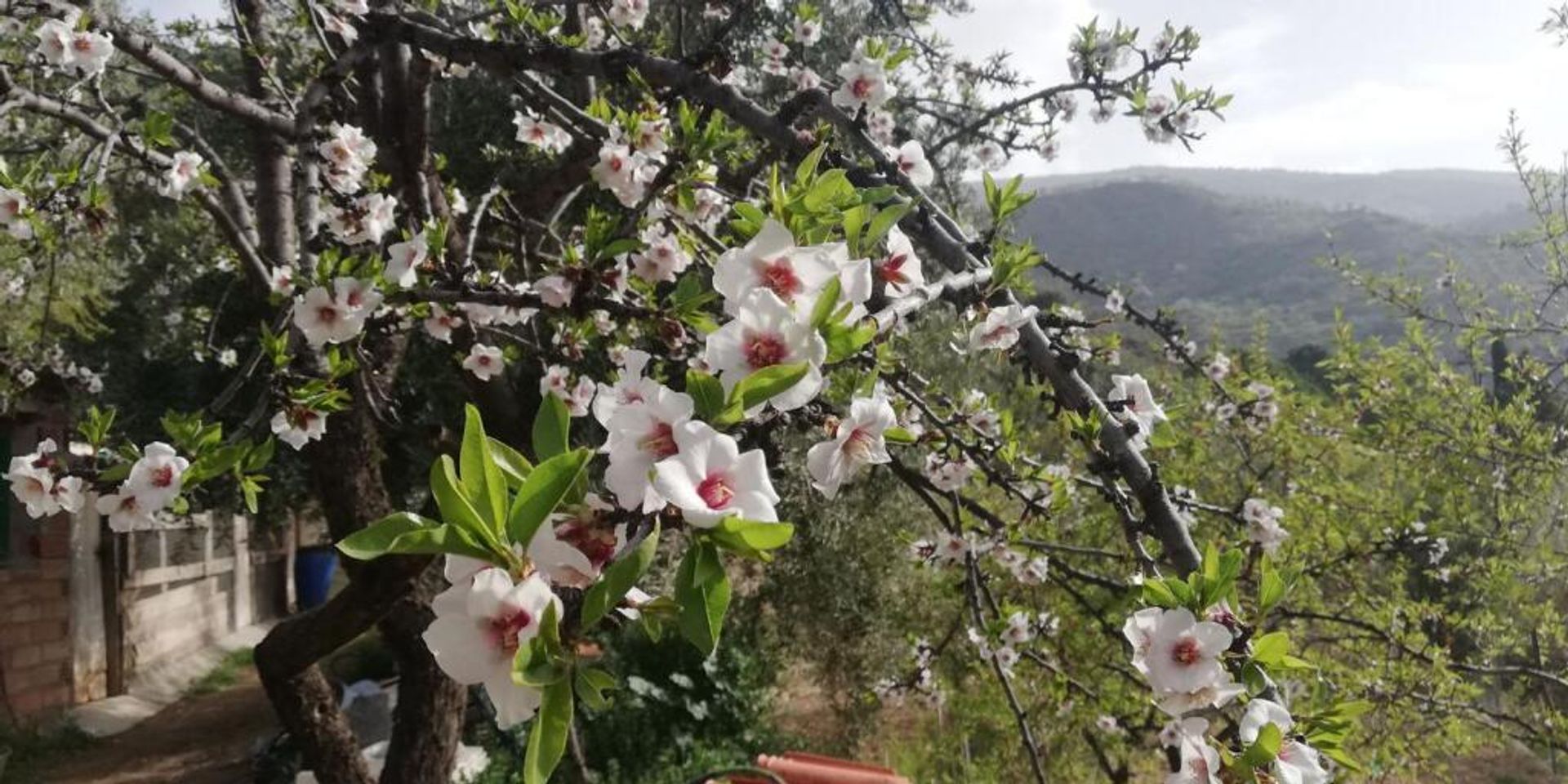 Tanah dalam Lecrín, Andalucía 11523553