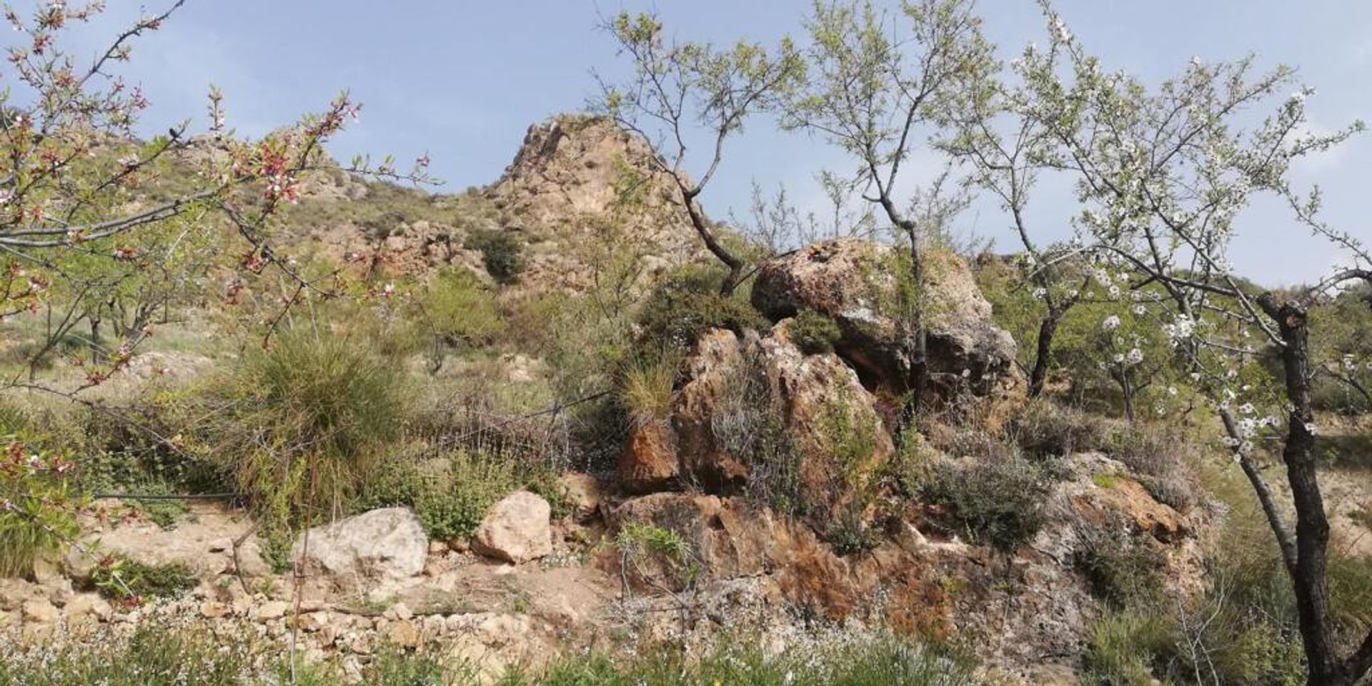 Tanah di Lecrín, Andalucía 11523553