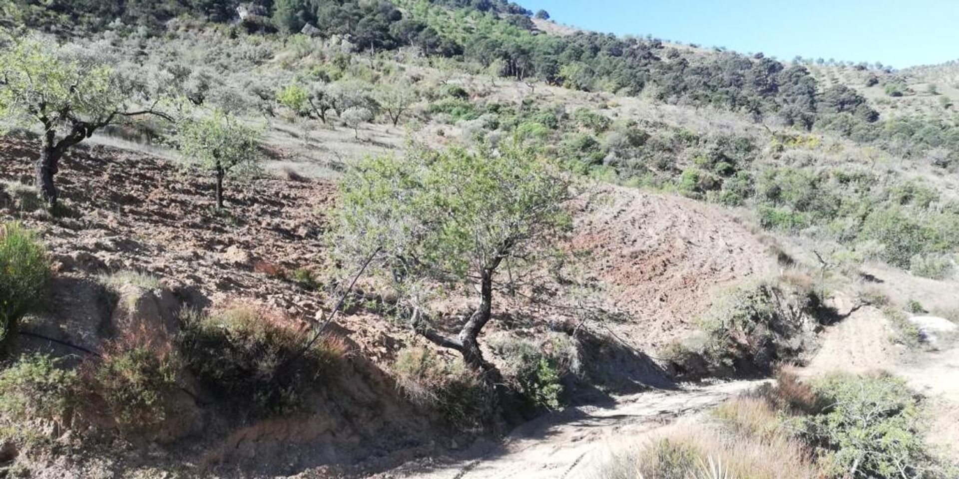 жилой дом в Pinos del Valle, Andalucía 11523555