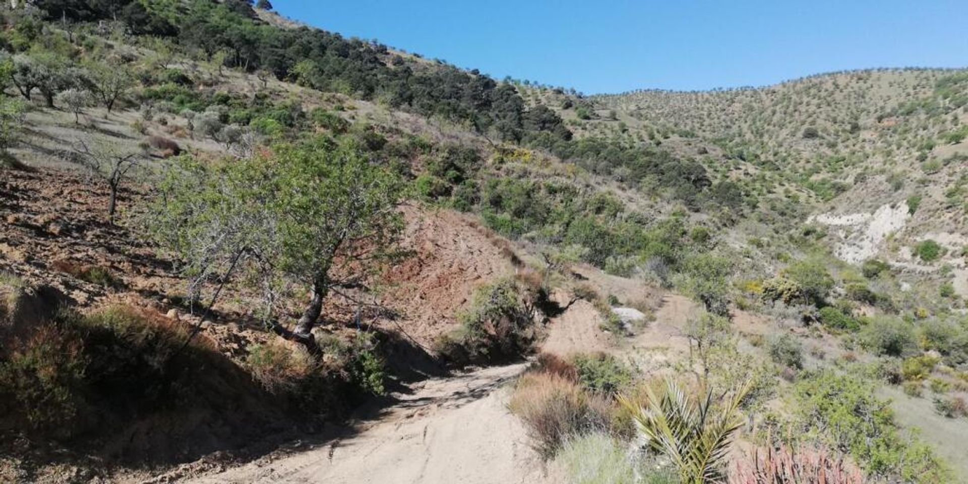 rumah dalam Pinos del Valle, Andalucía 11523555