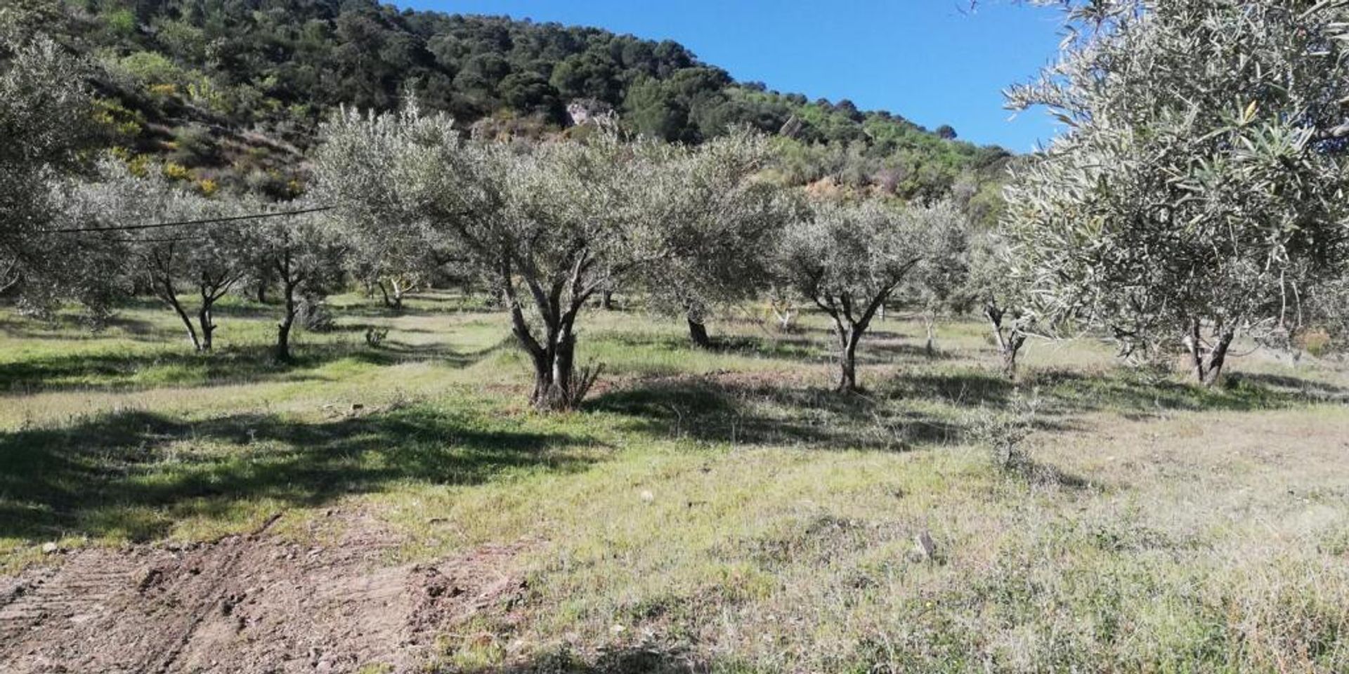 بيت في Pinos del Valle, Andalucía 11523555