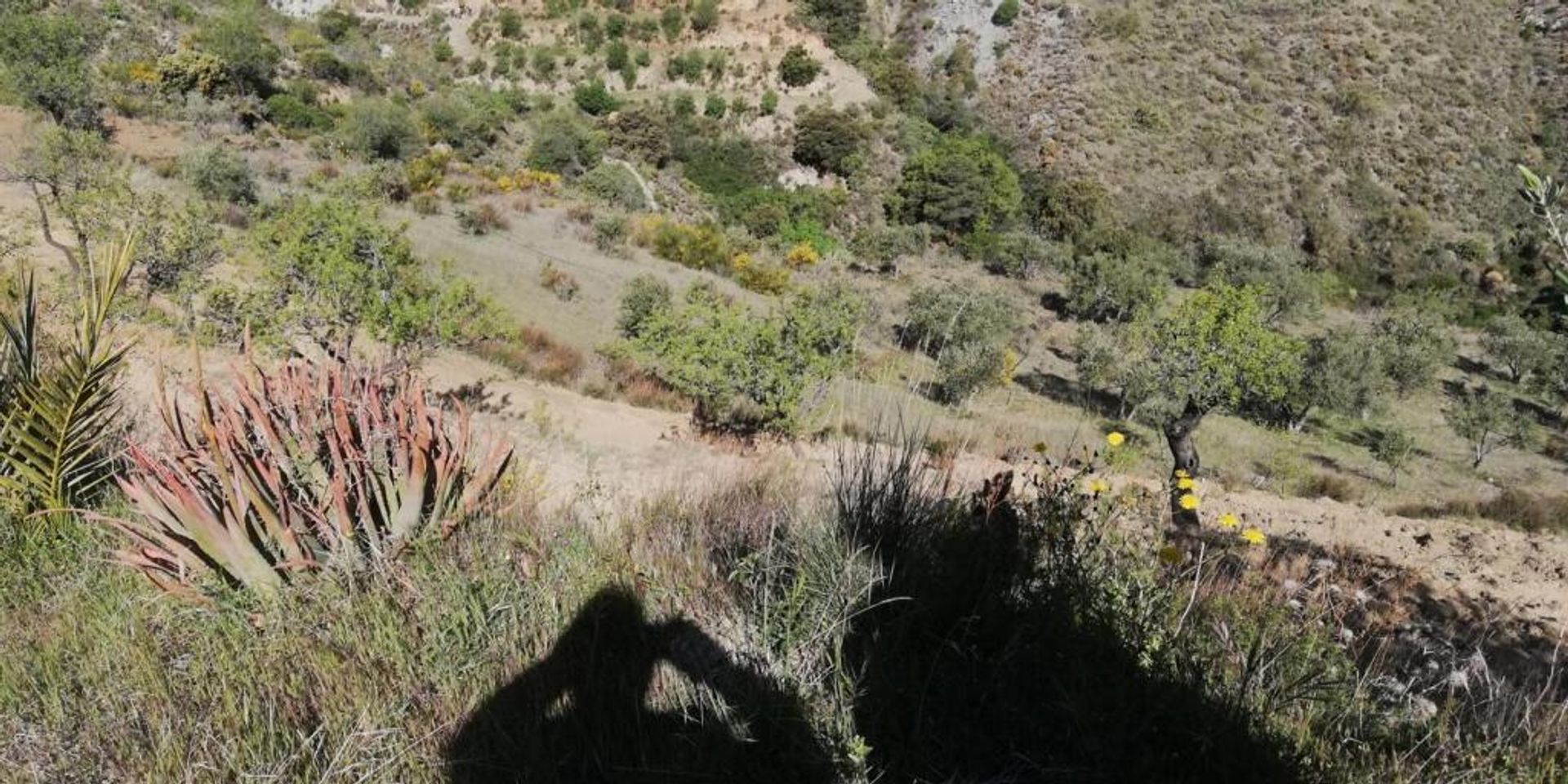 rumah dalam Pinos del Valle, Andalucía 11523555