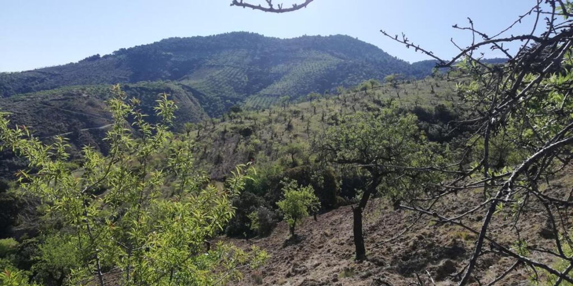 жилой дом в Pinos del Valle, Andalucía 11523555