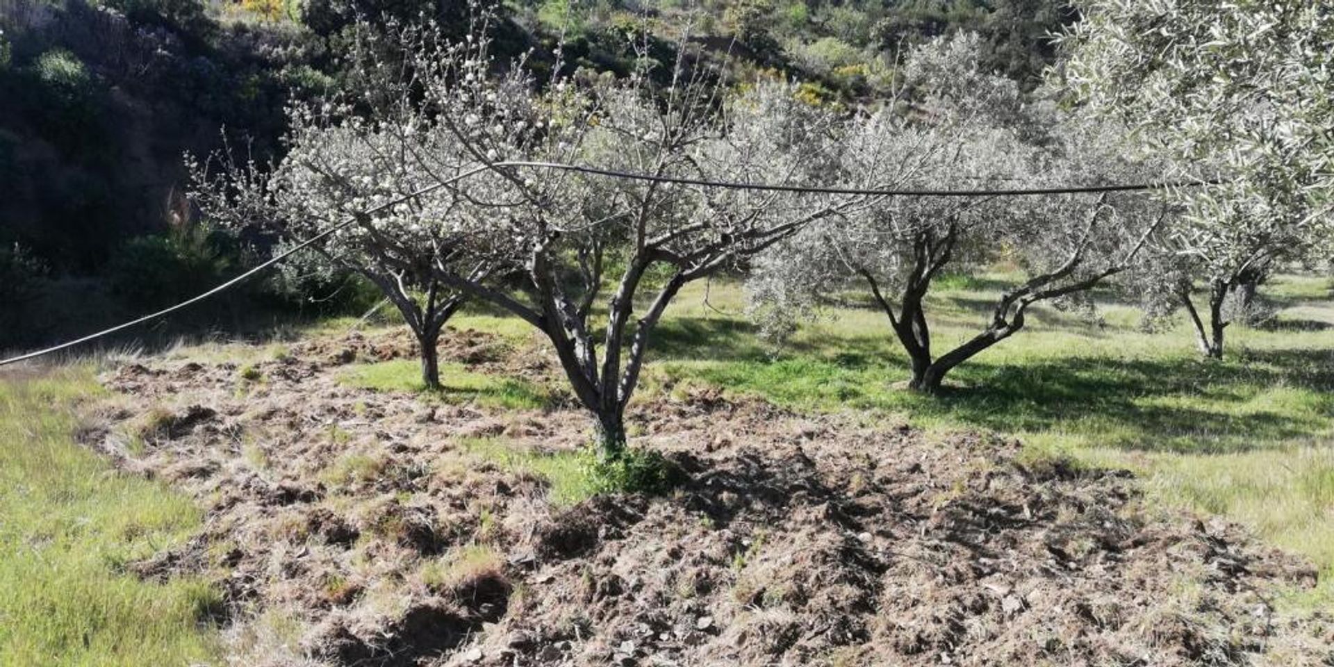 بيت في Pinos del Valle, Andalucía 11523555