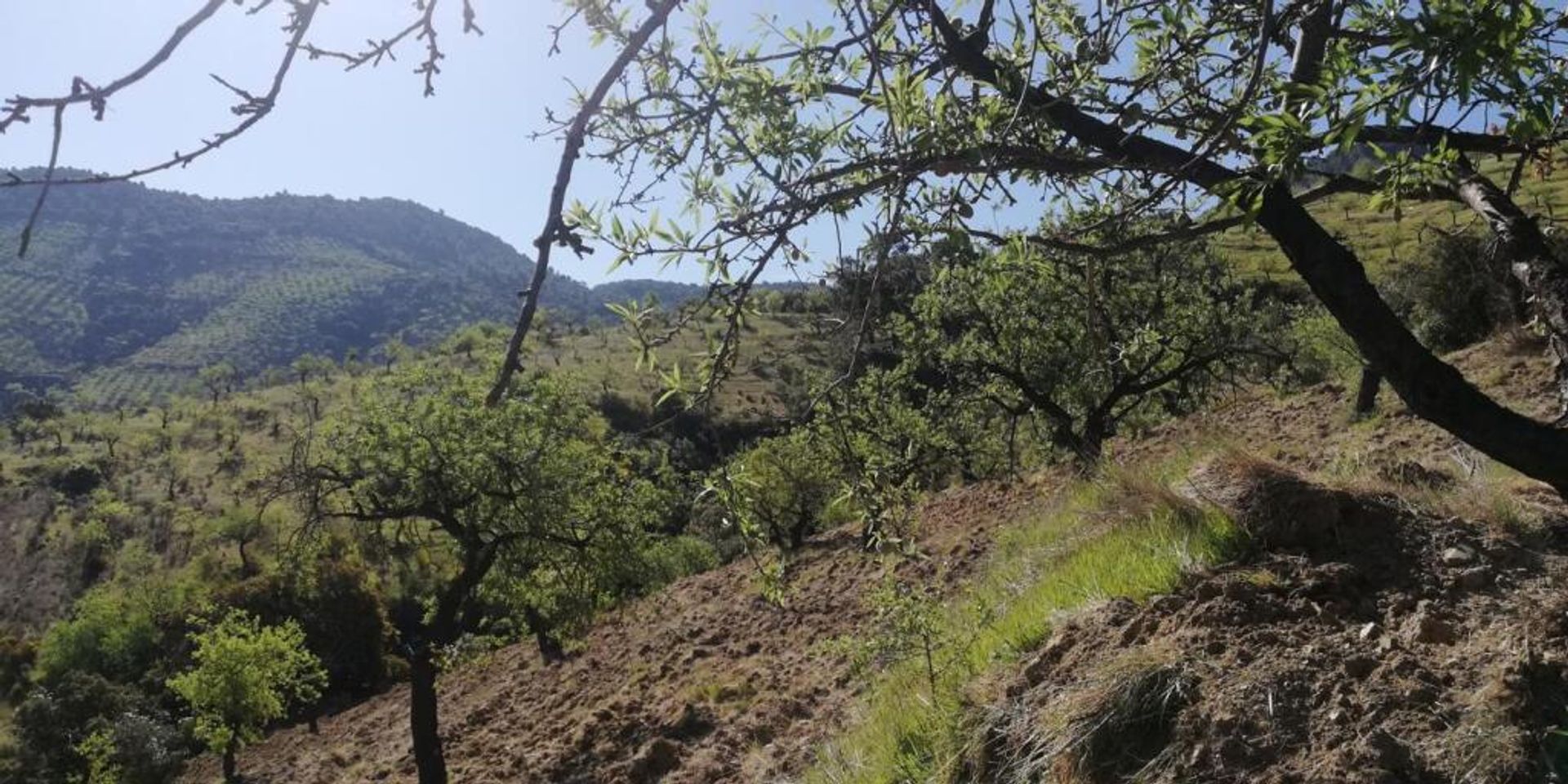 жилой дом в Pinos del Valle, Andalucía 11523555