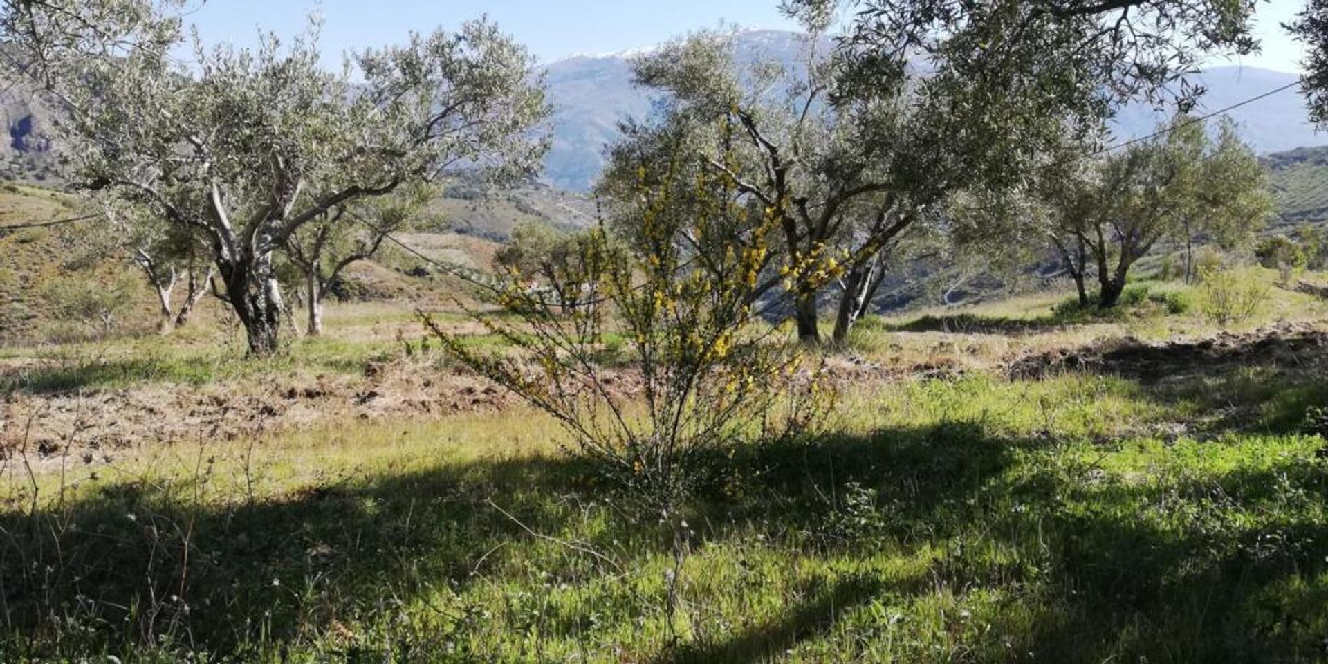 жилой дом в Pinos del Valle, Andalucía 11523555