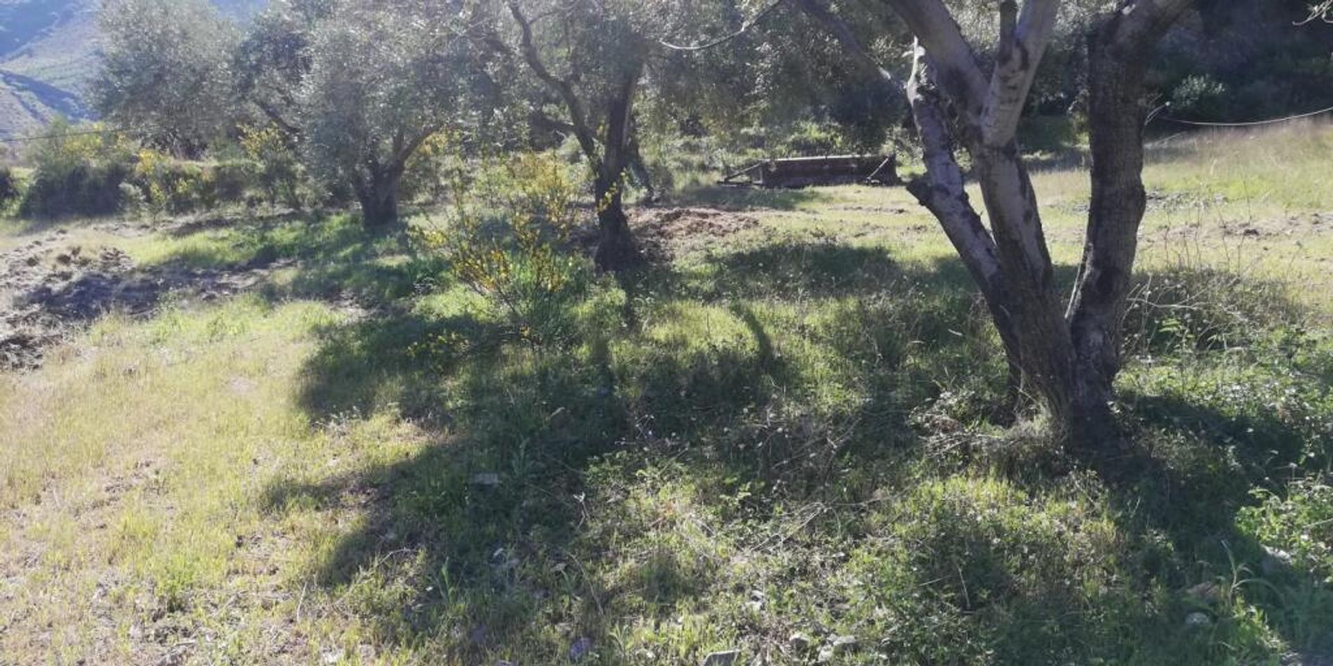 rumah dalam Pinos del Valle, Andalucía 11523555