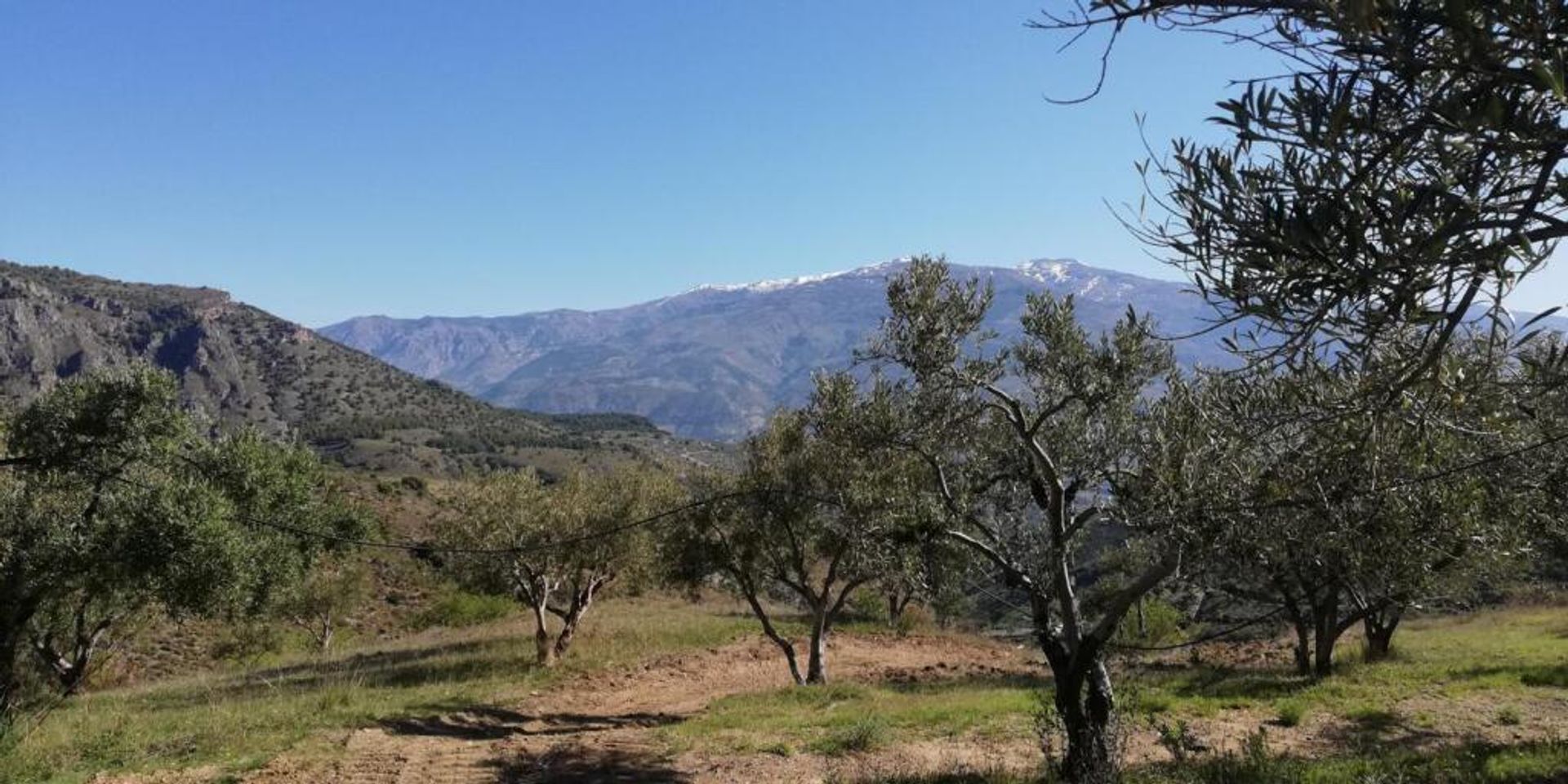 жилой дом в Pinos del Valle, Andalucía 11523555