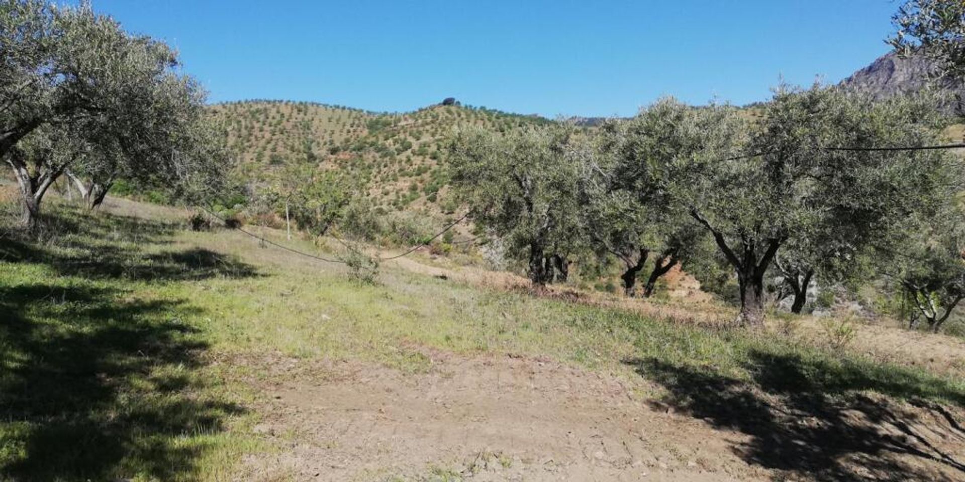 rumah dalam Pinos del Valle, Andalucía 11523555