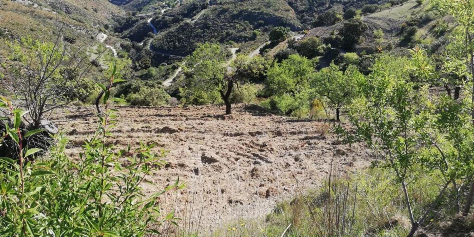 집 에 Pinos del Valle, Andalucía 11523555