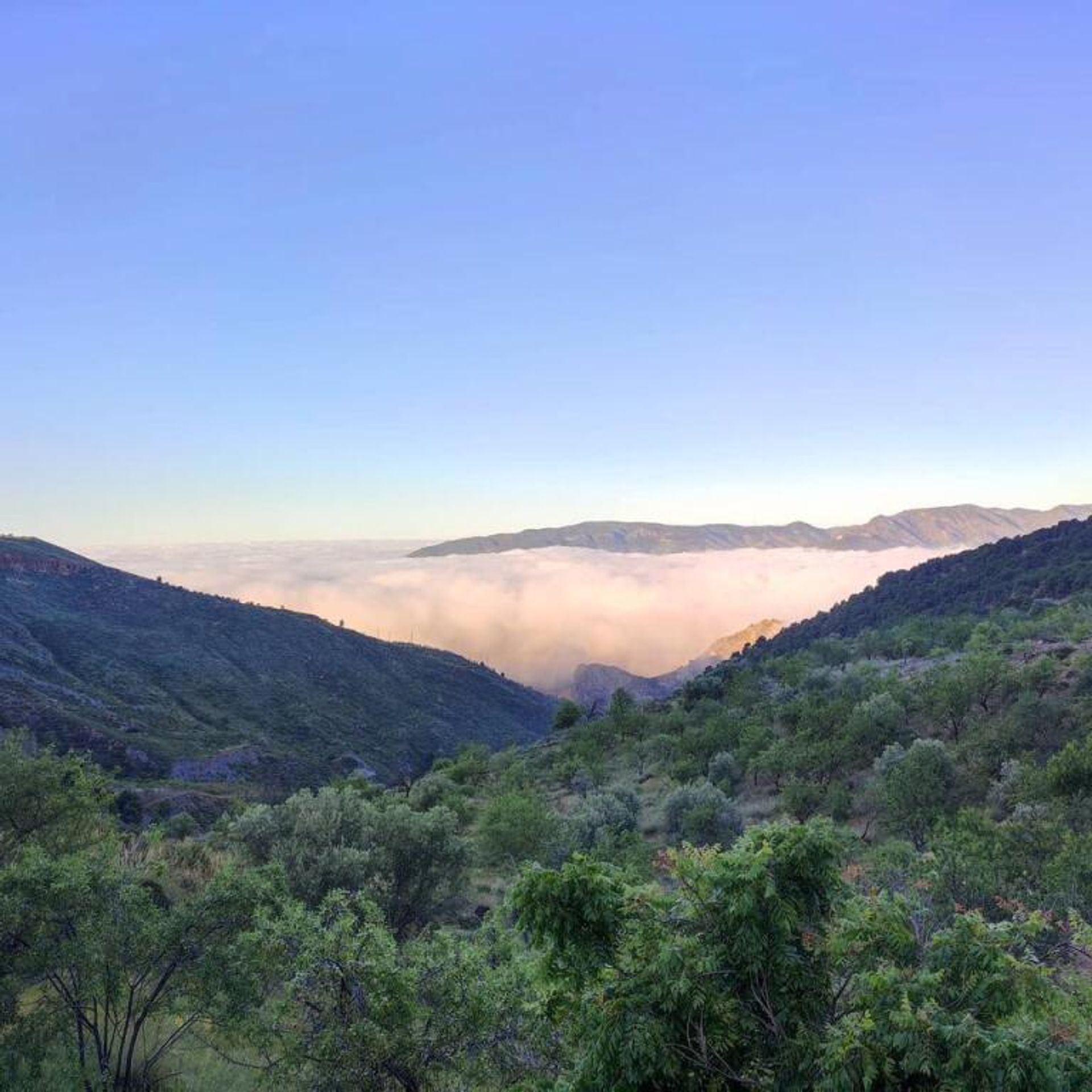 loger dans Lecrín, Andalucía 11523569